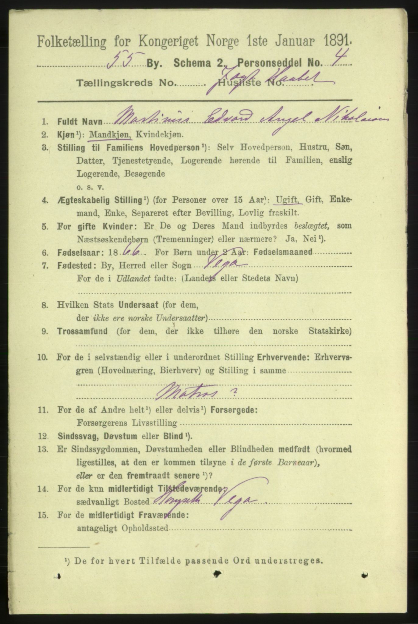 RA, 1891 census for 1703 Namsos, 1891, p. 1949