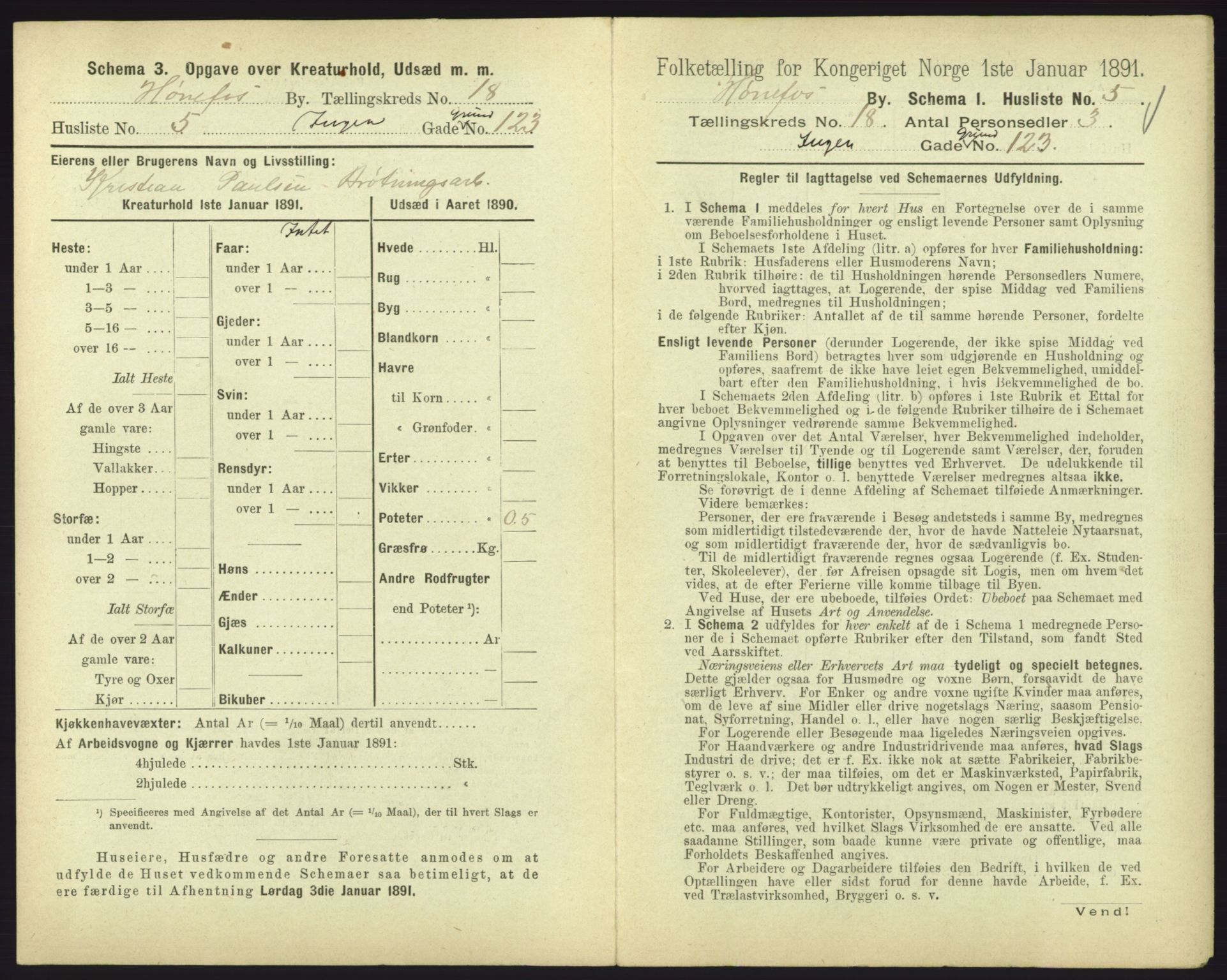 RA, 1891 census for 0601 Hønefoss, 1891, p. 391