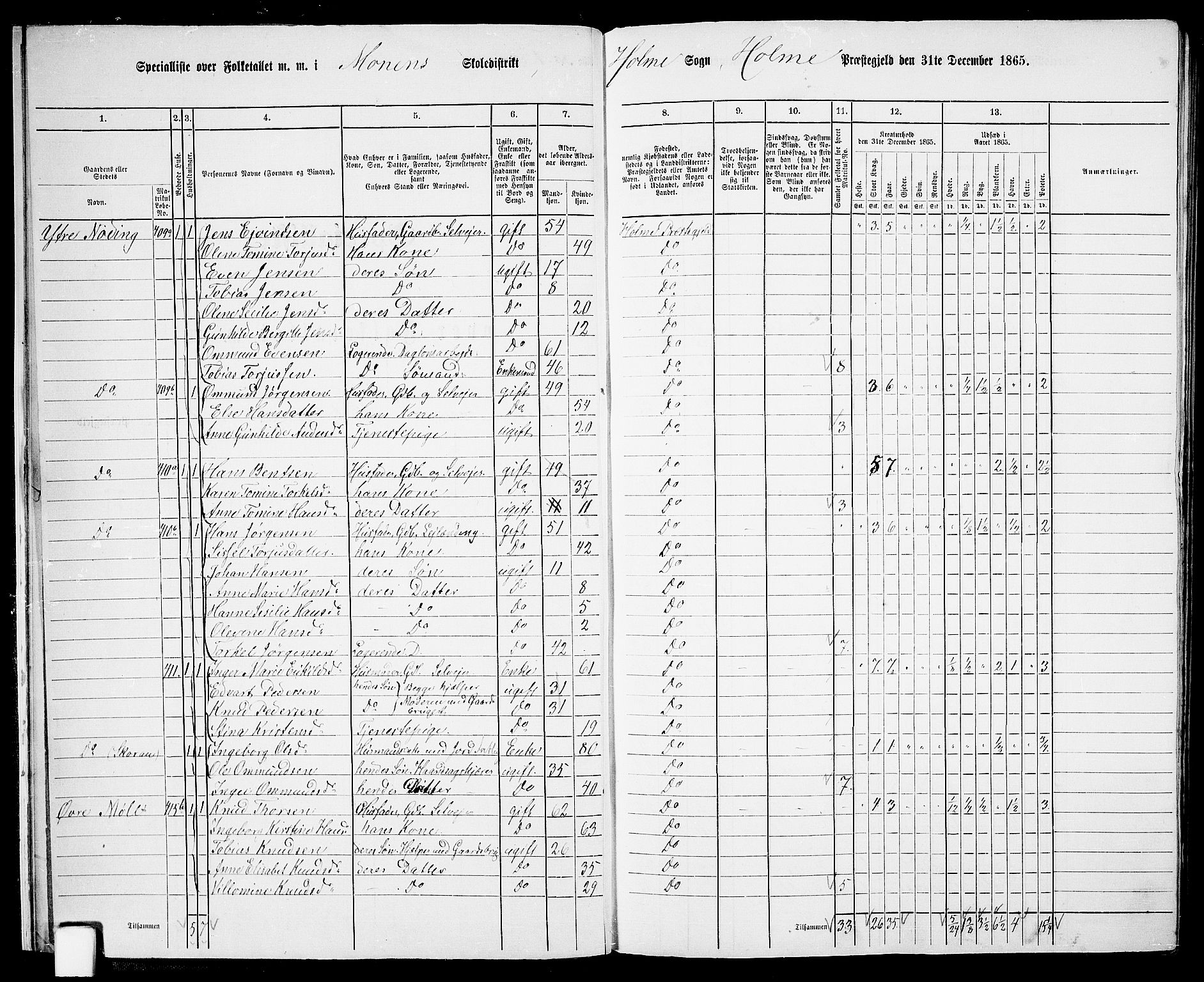 RA, 1865 census for Holum, 1865, p. 16