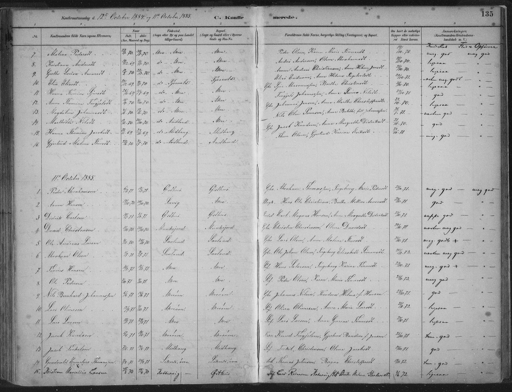 Kopervik sokneprestkontor, SAST/A-101850/H/Ha/Haa/L0004: Parish register (official) no. A 4, 1882-1905, p. 135