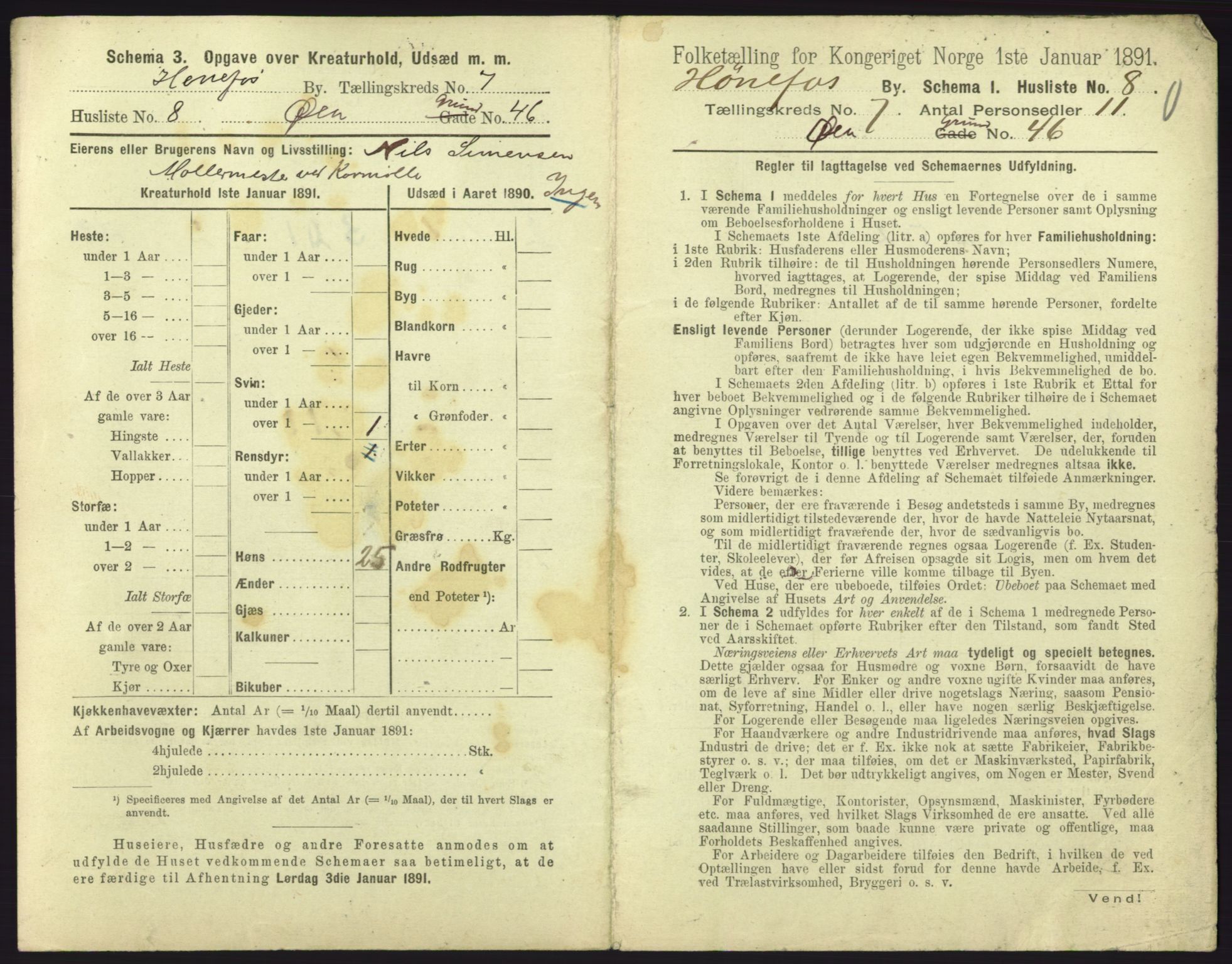 RA, 1891 census for 0601 Hønefoss, 1891, p. 203