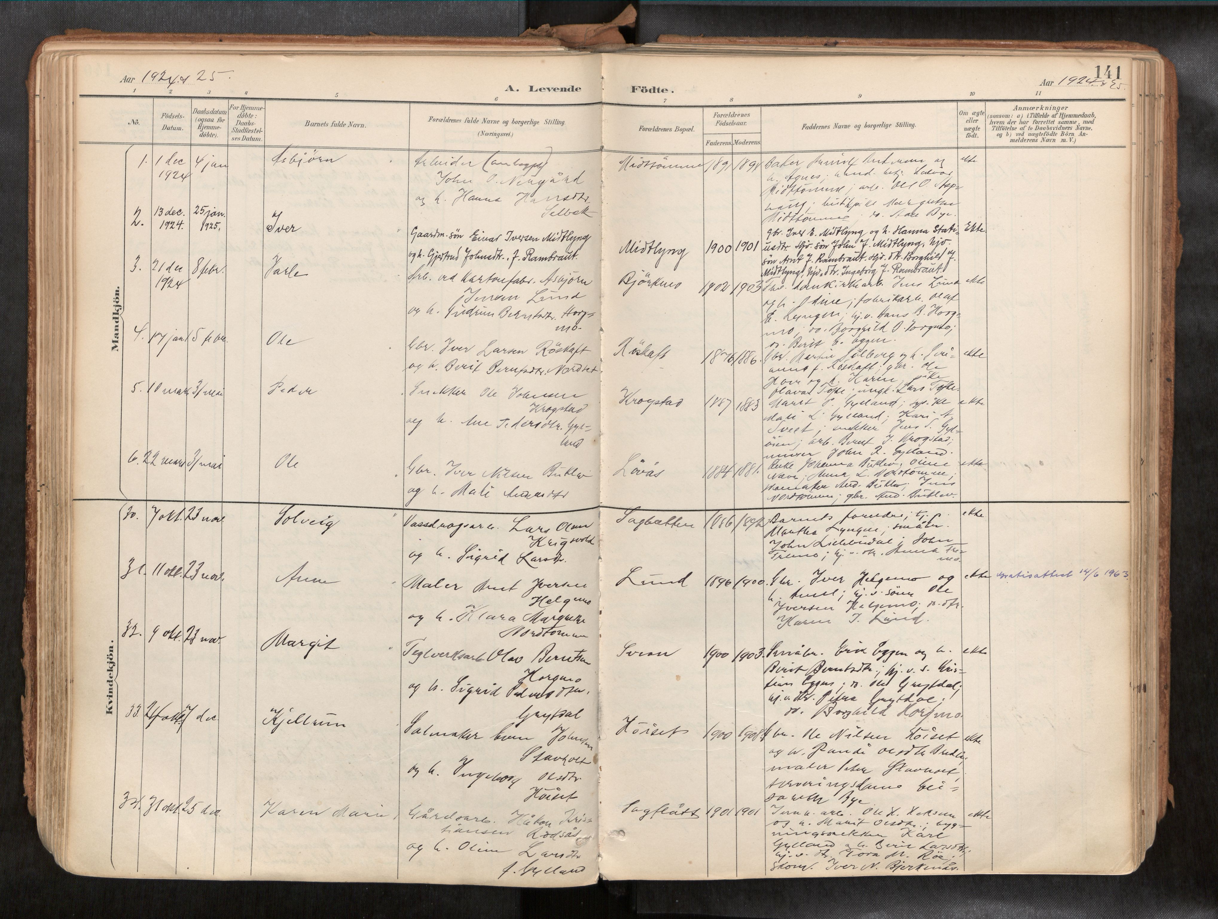 Ministerialprotokoller, klokkerbøker og fødselsregistre - Sør-Trøndelag, SAT/A-1456/692/L1105b: Parish register (official) no. 692A06, 1891-1934, p. 141