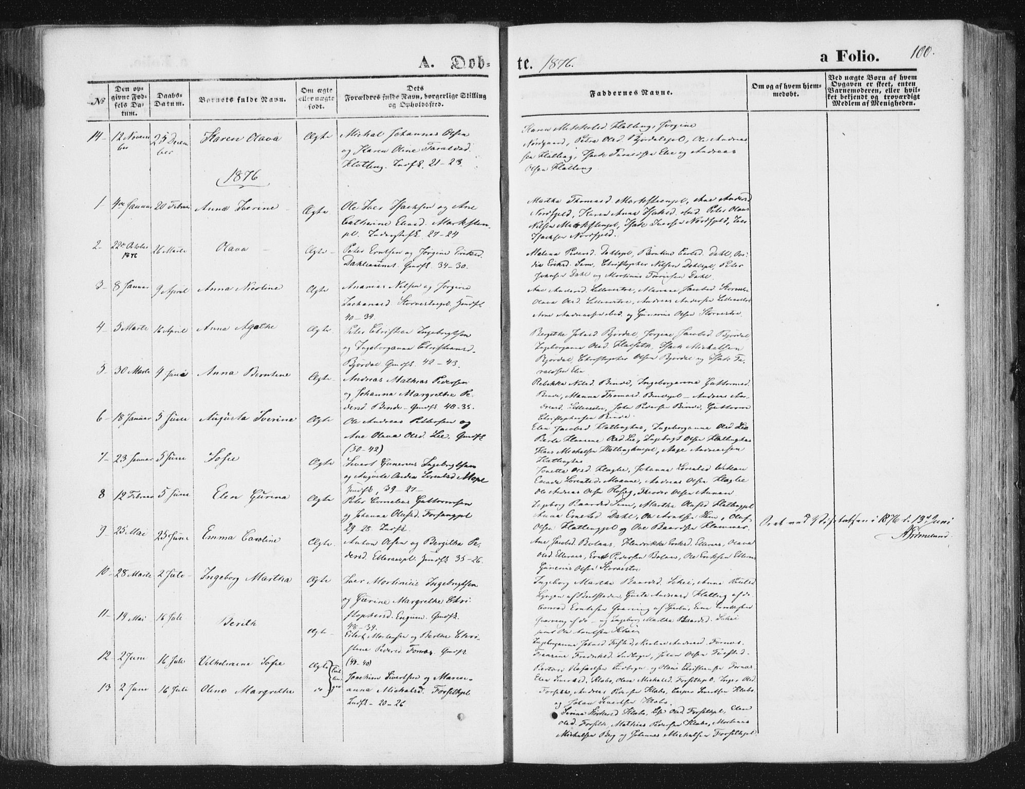 Ministerialprotokoller, klokkerbøker og fødselsregistre - Nord-Trøndelag, SAT/A-1458/746/L0447: Parish register (official) no. 746A06, 1860-1877, p. 100