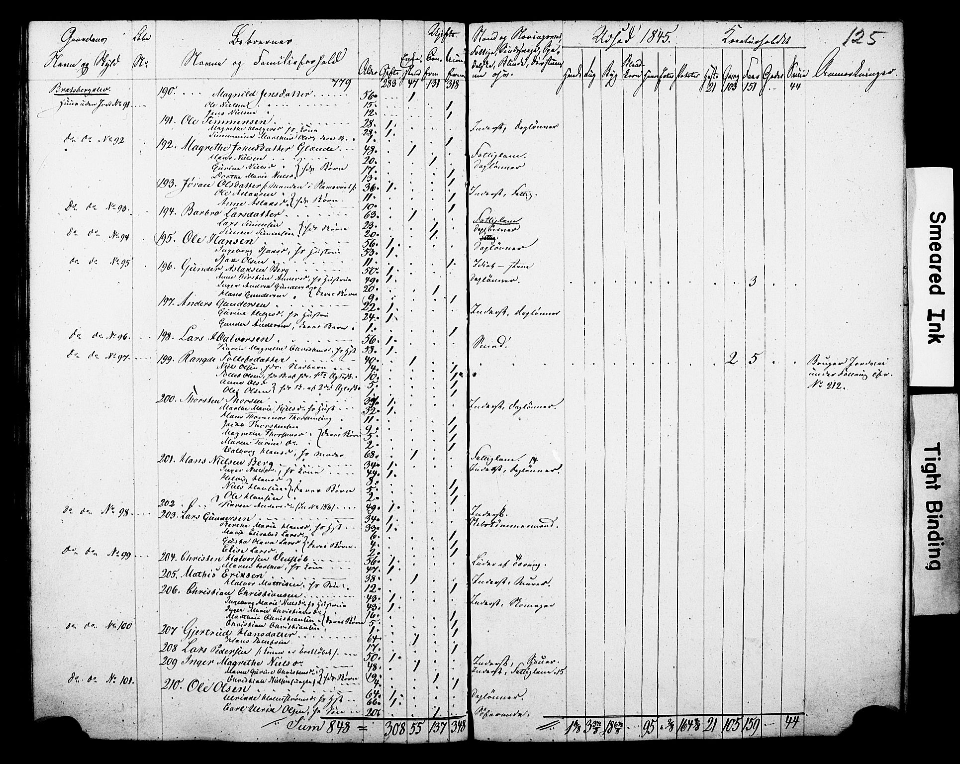 , Census 1845 for Gjerpen, 1845, p. 125
