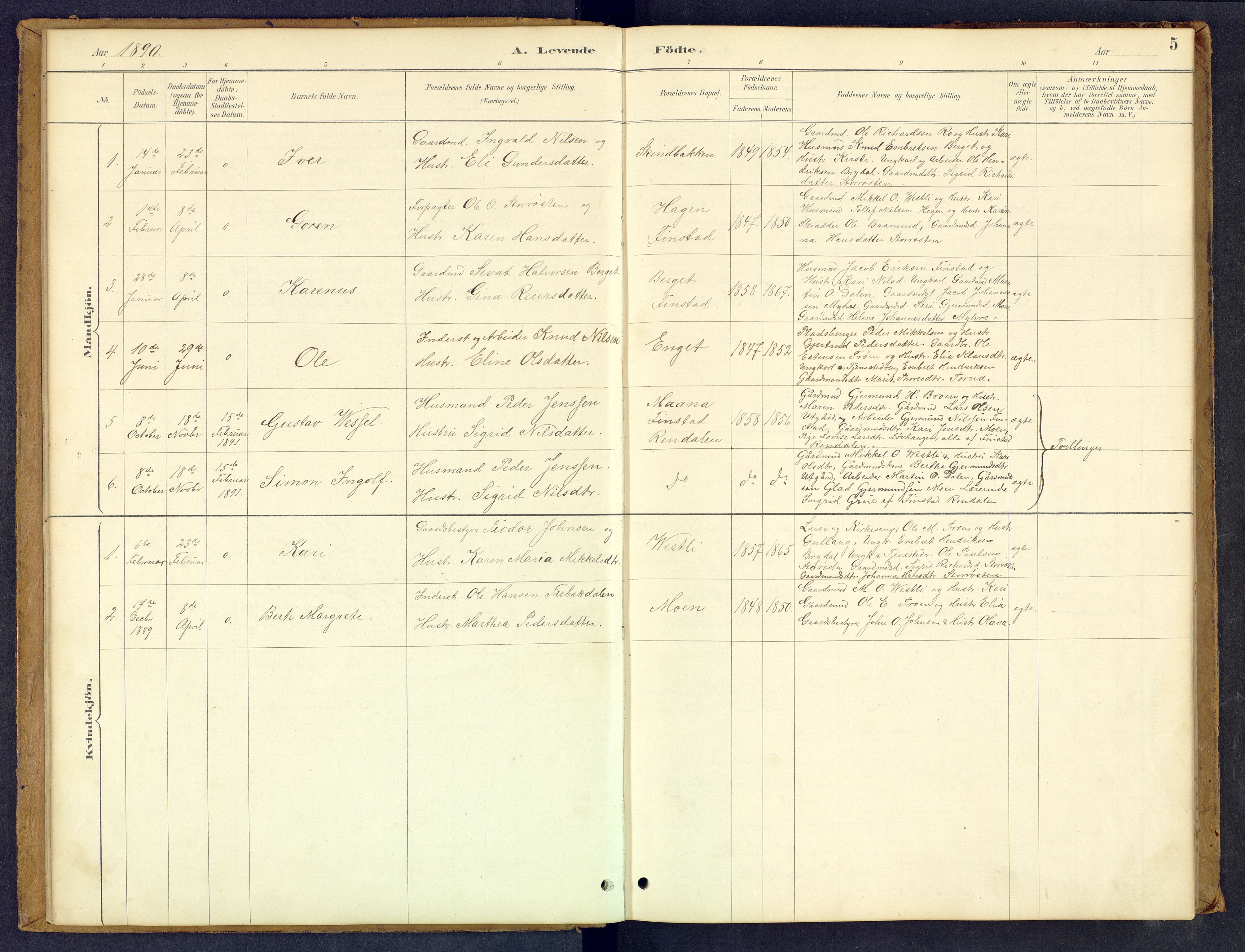 Tynset prestekontor, AV/SAH-PREST-058/H/Ha/Hab/L0008: Parish register (copy) no. 8, 1884-1916, p. 5