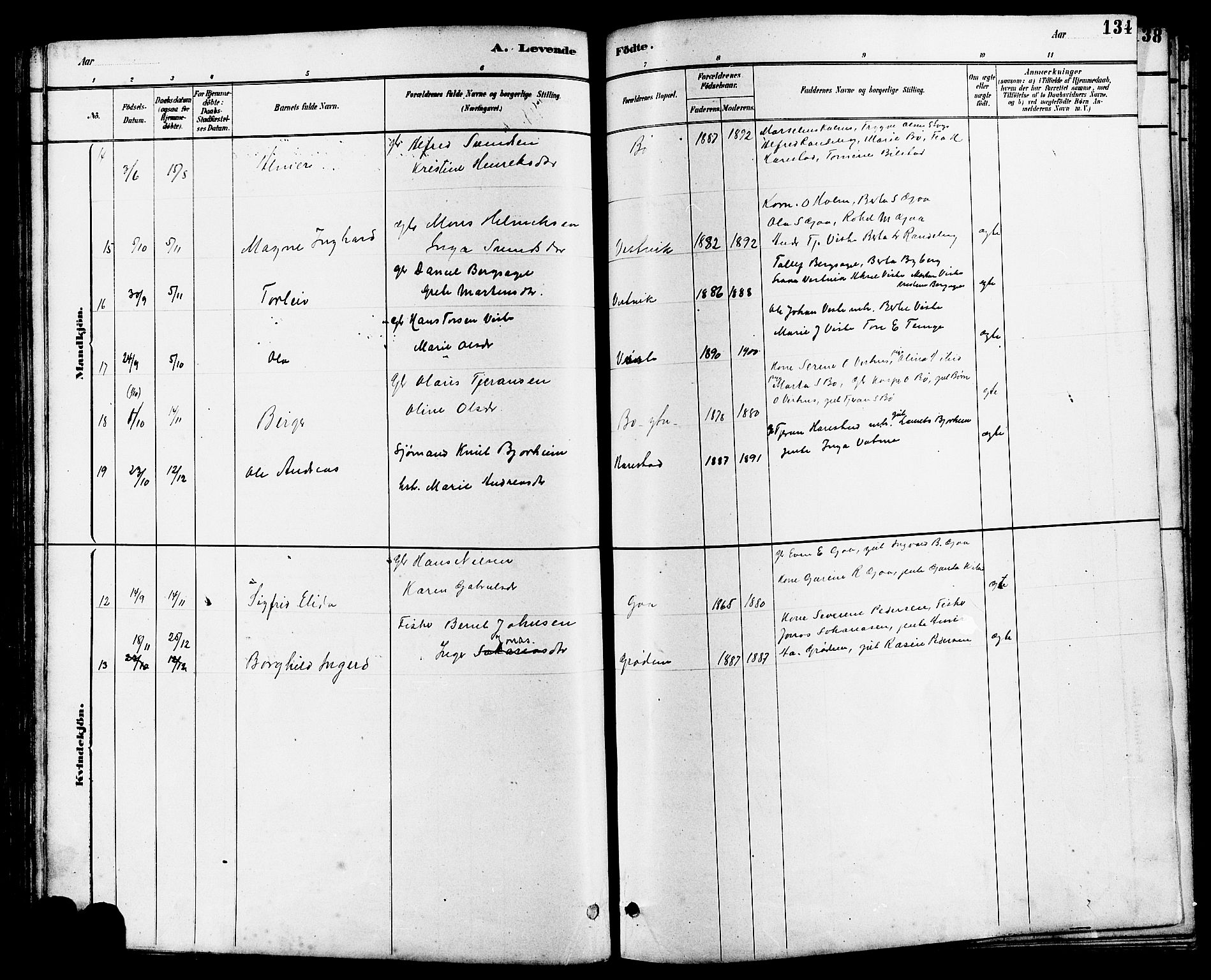 Hetland sokneprestkontor, AV/SAST-A-101826/30/30BB/L0006: Parish register (copy) no. B 6, 1878-1921, p. 134