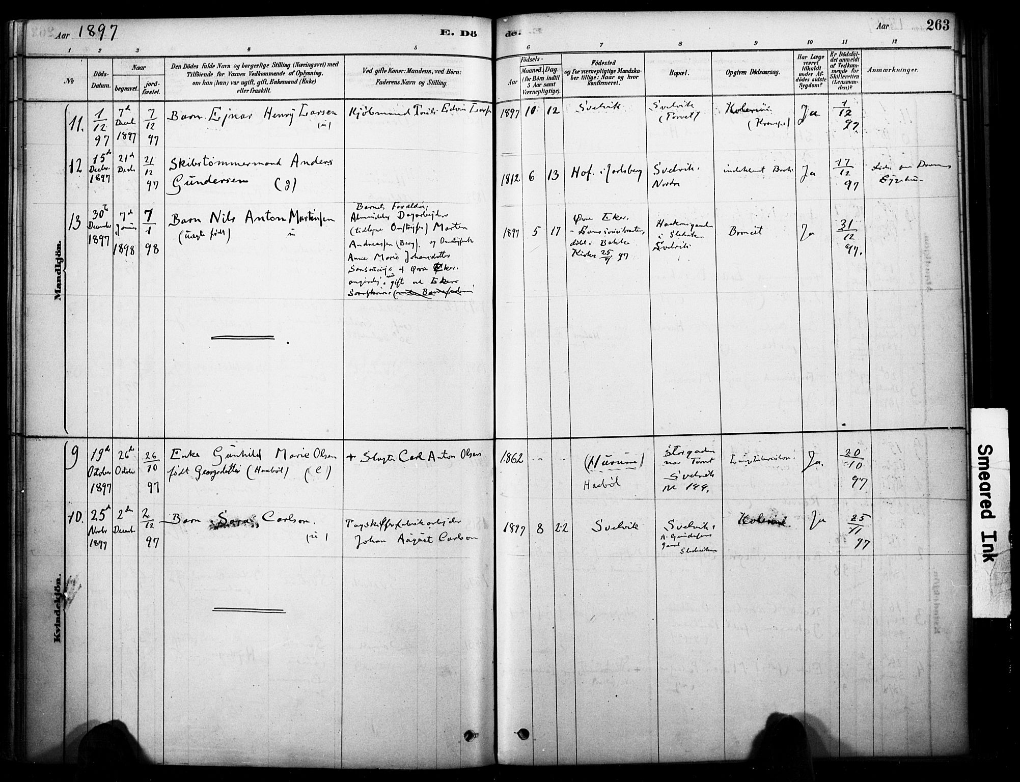 Strømm kirkebøker, SAKO/A-322/F/Fb/L0001: Parish register (official) no. II 1, 1878-1899, p. 263