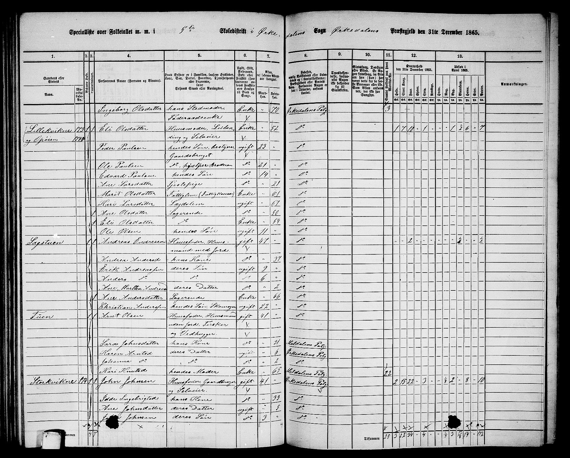 RA, 1865 census for Orkdal, 1865, p. 160