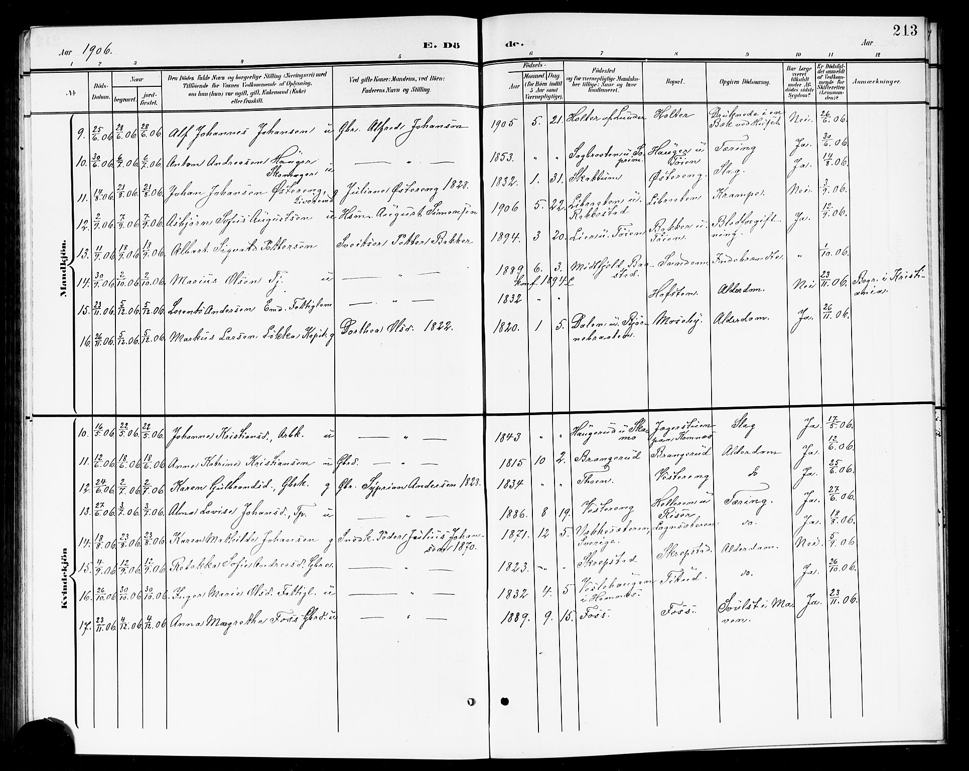 Høland prestekontor Kirkebøker, AV/SAO-A-10346a/G/Ga/L0007: Parish register (copy) no. I 7, 1902-1914, p. 213