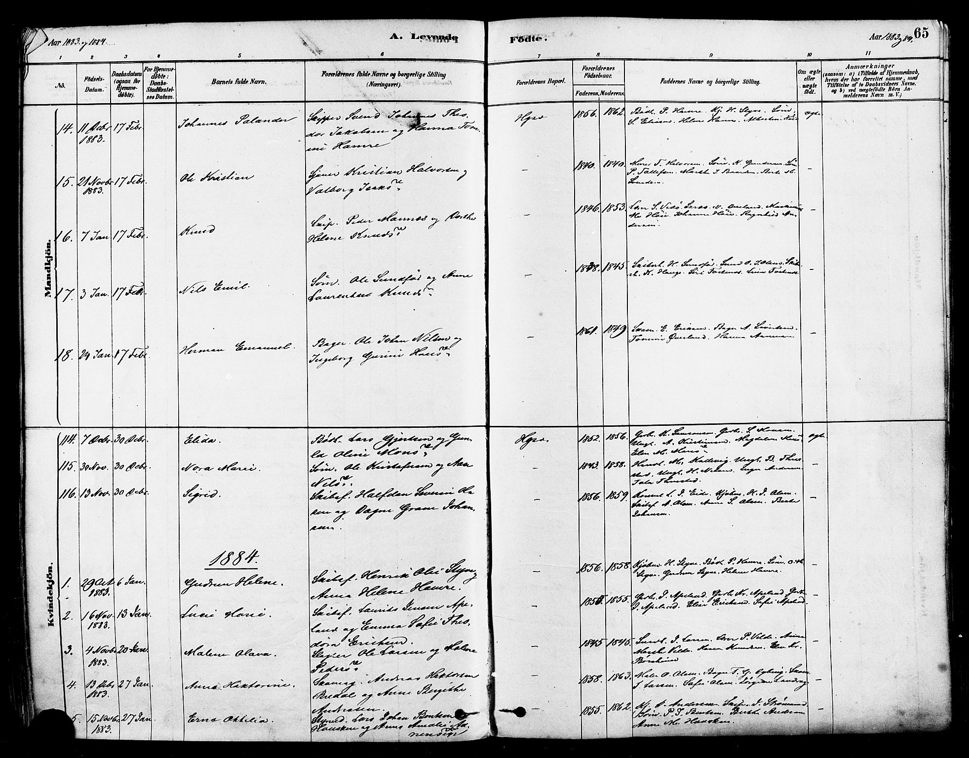 Haugesund sokneprestkontor, AV/SAST-A -101863/H/Ha/Haa/L0001: Parish register (official) no. A 1, 1878-1885, p. 65