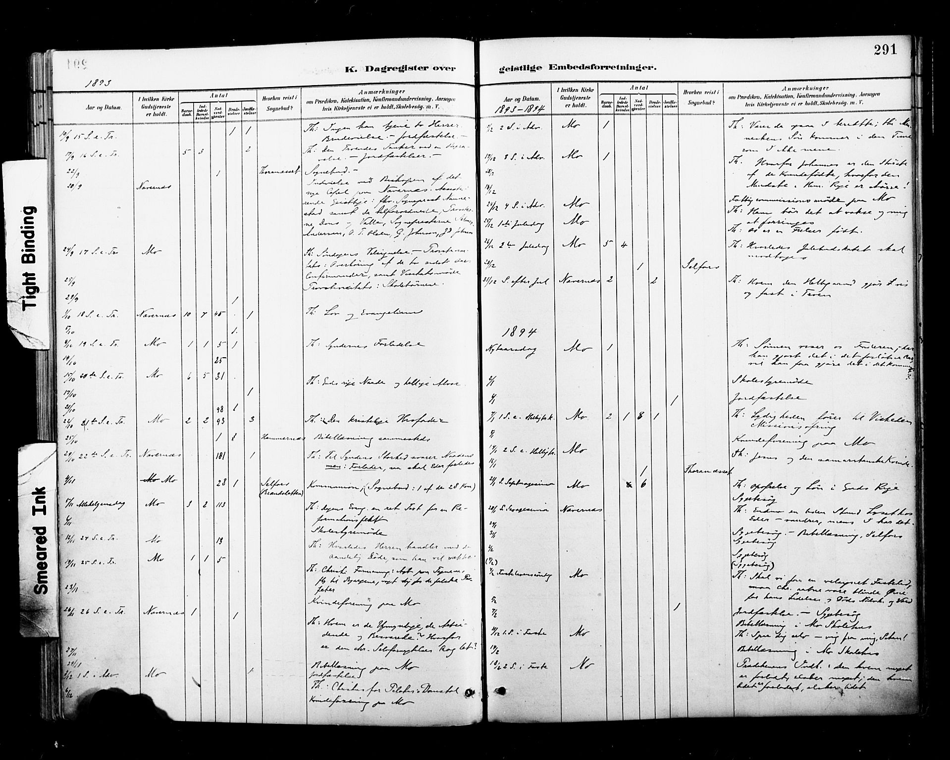 Ministerialprotokoller, klokkerbøker og fødselsregistre - Nordland, AV/SAT-A-1459/827/L0401: Parish register (official) no. 827A13, 1887-1905, p. 291