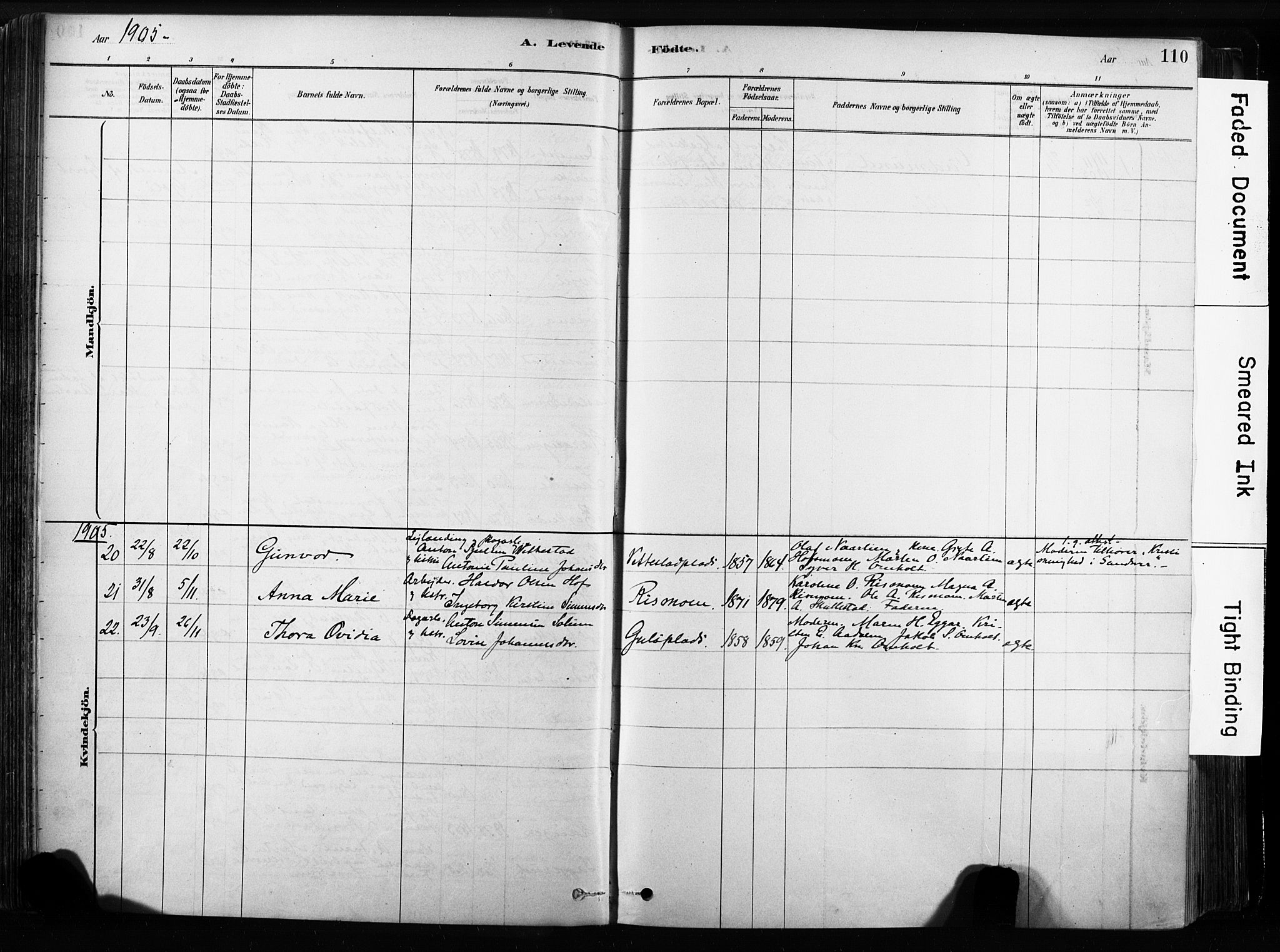 Sandsvær kirkebøker, SAKO/A-244/F/Fb/L0001: Parish register (official) no. II 1, 1878-1906, p. 110