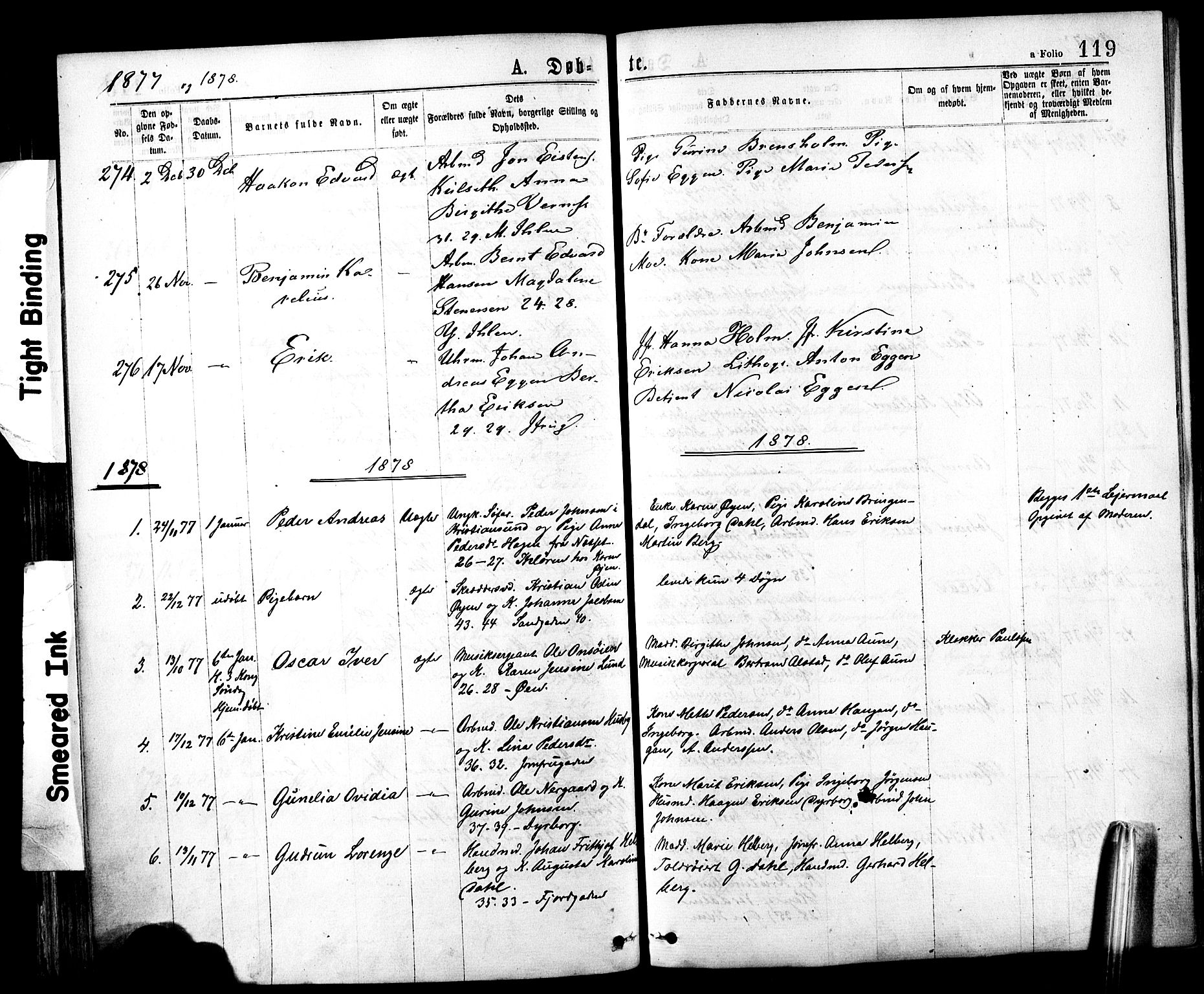 SAT, Ministerialprotokoller, klokkerbøker og fødselsregistre - Sør-Trøndelag, SAT/A-1456/602/L0118Parish register (official) no. 602A16, 1873-1879, p. 119