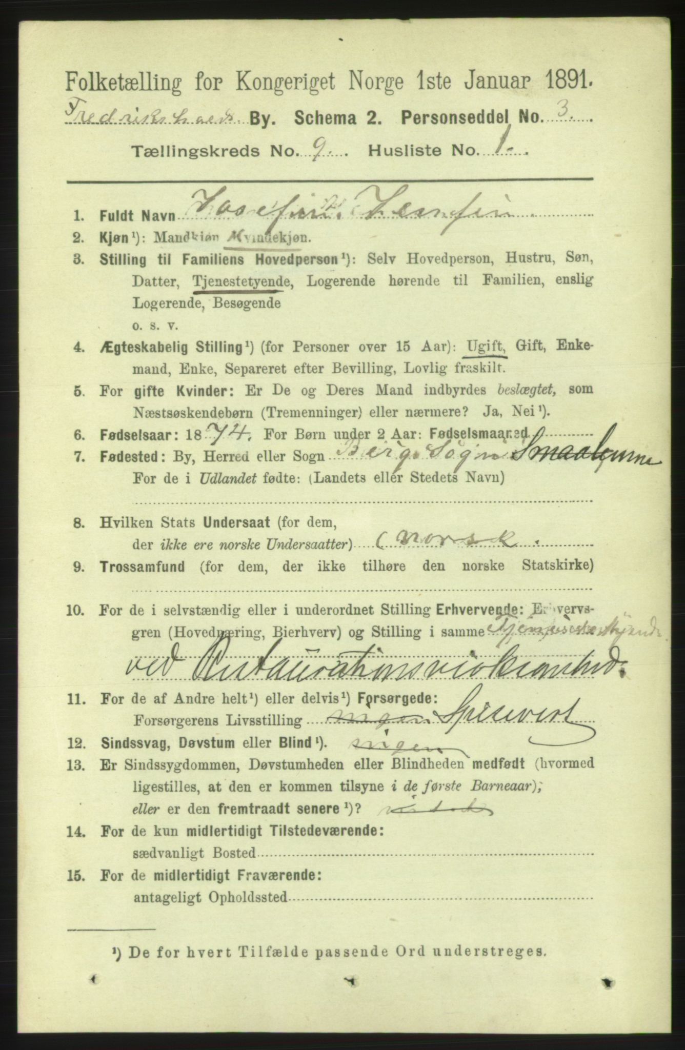 RA, 1891 census for 0101 Fredrikshald, 1891, p. 5912