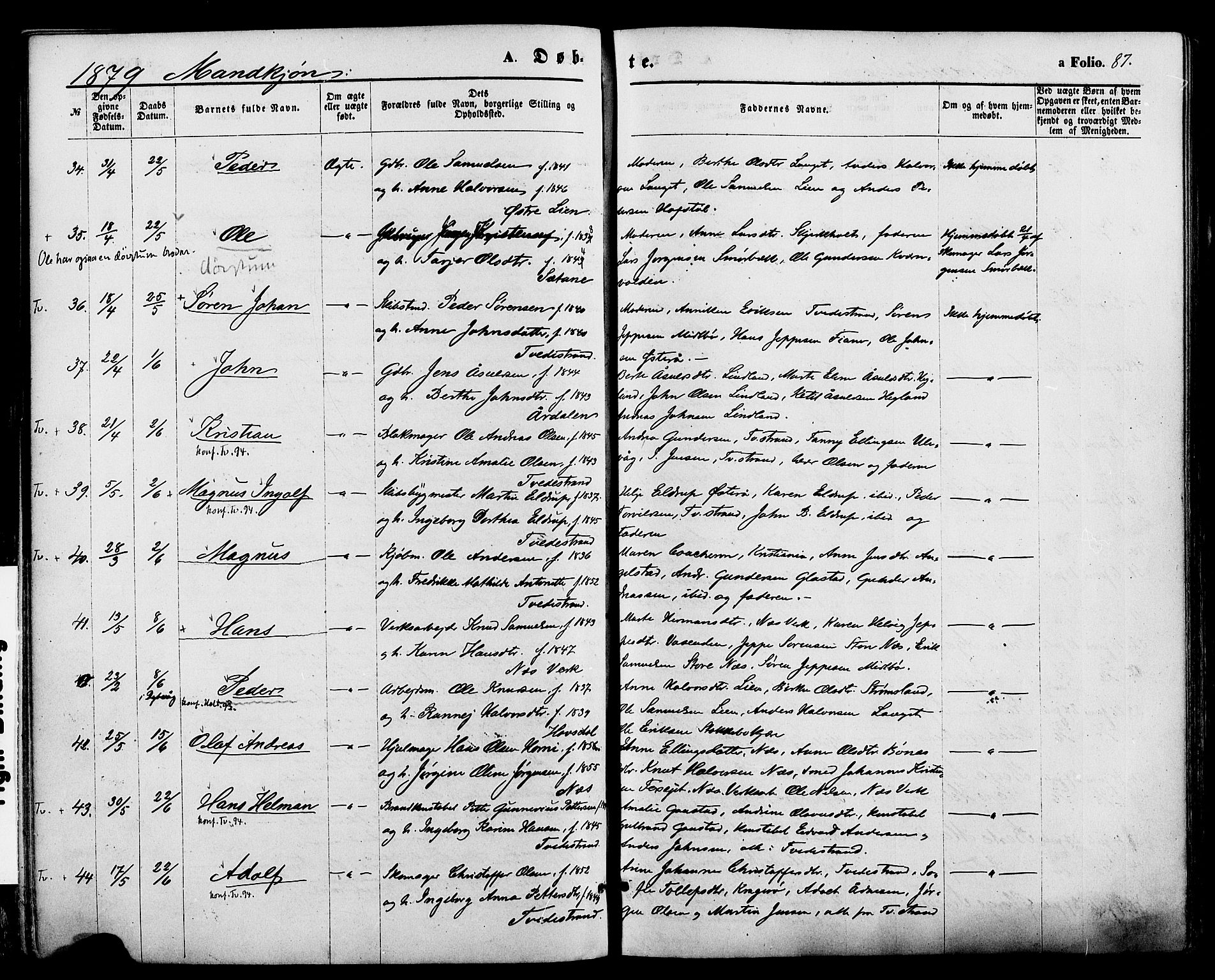 Holt sokneprestkontor, AV/SAK-1111-0021/F/Fa/L0010: Parish register (official) no. A 10, 1872-1885, p. 87