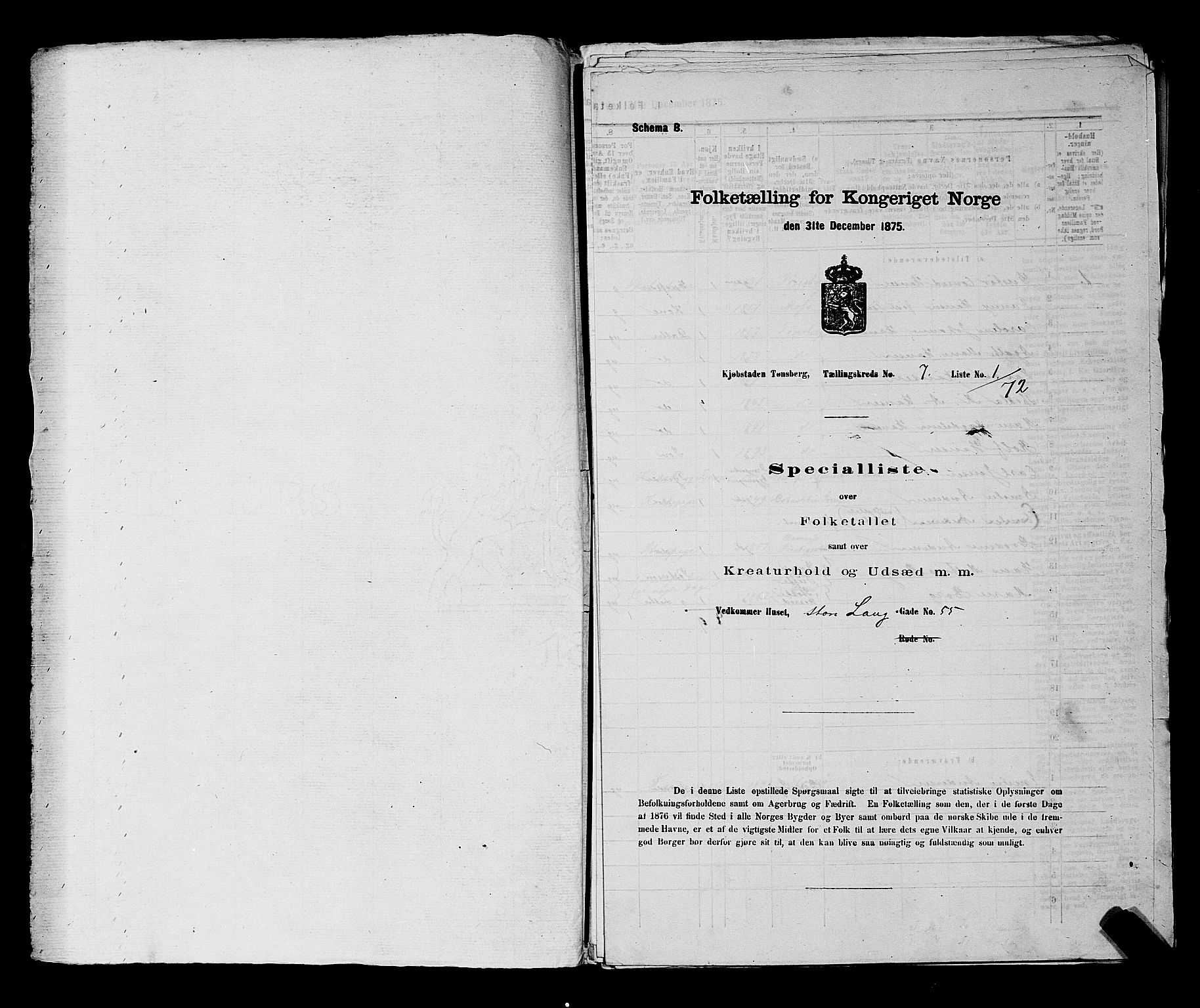 SAKO, 1875 census for 0705P Tønsberg, 1875, p. 193