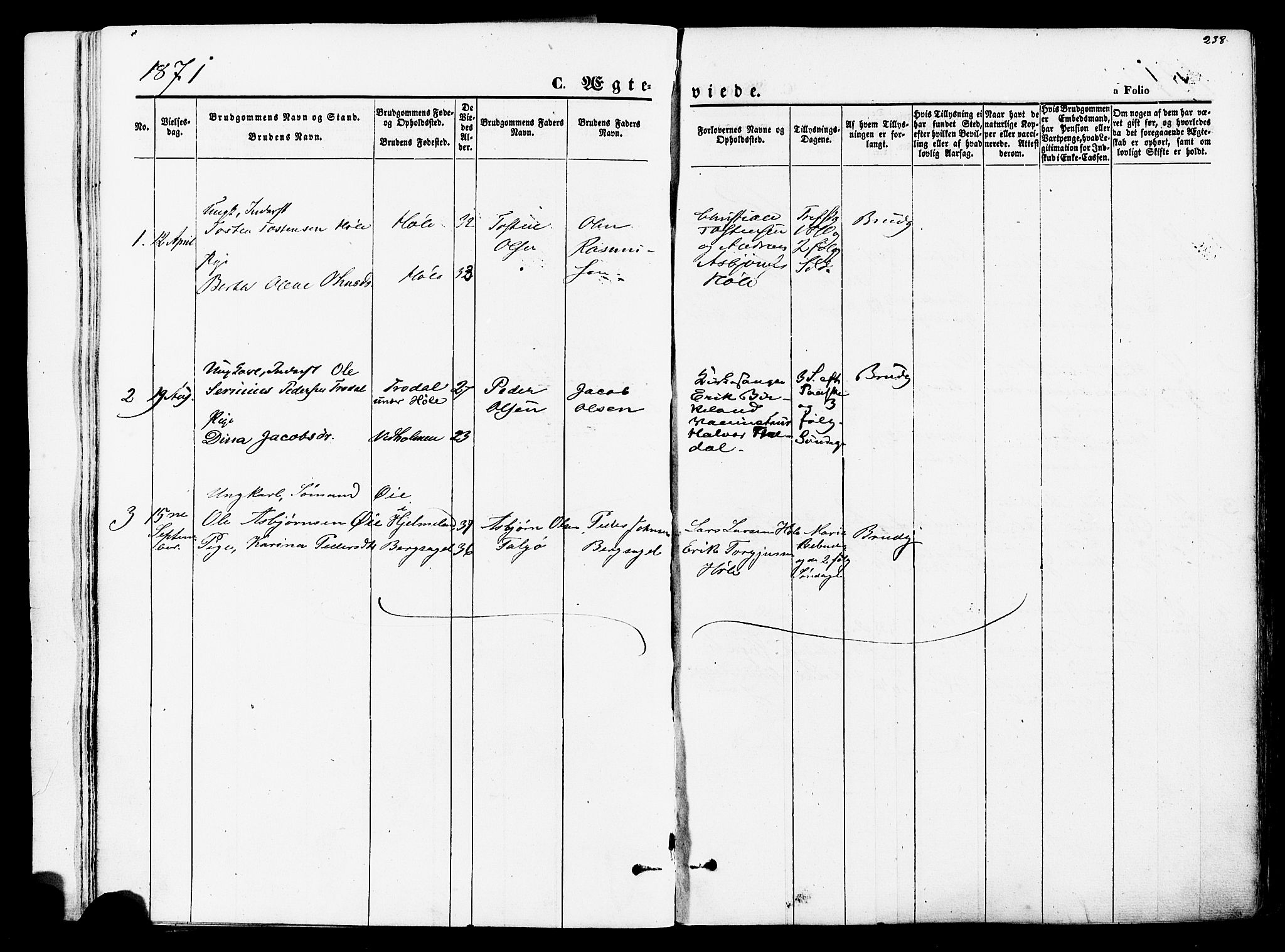 Høgsfjord sokneprestkontor, SAST/A-101624/H/Ha/Haa/L0002: Parish register (official) no. A 2, 1855-1885, p. 238