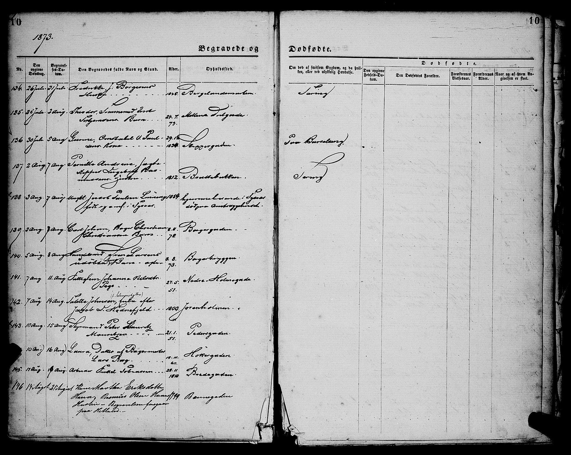 St. Petri sokneprestkontor, AV/SAST-A-101813/001/30/30BA/L0012: Parish register (official) no. A 12, 1873-1878, p. 10