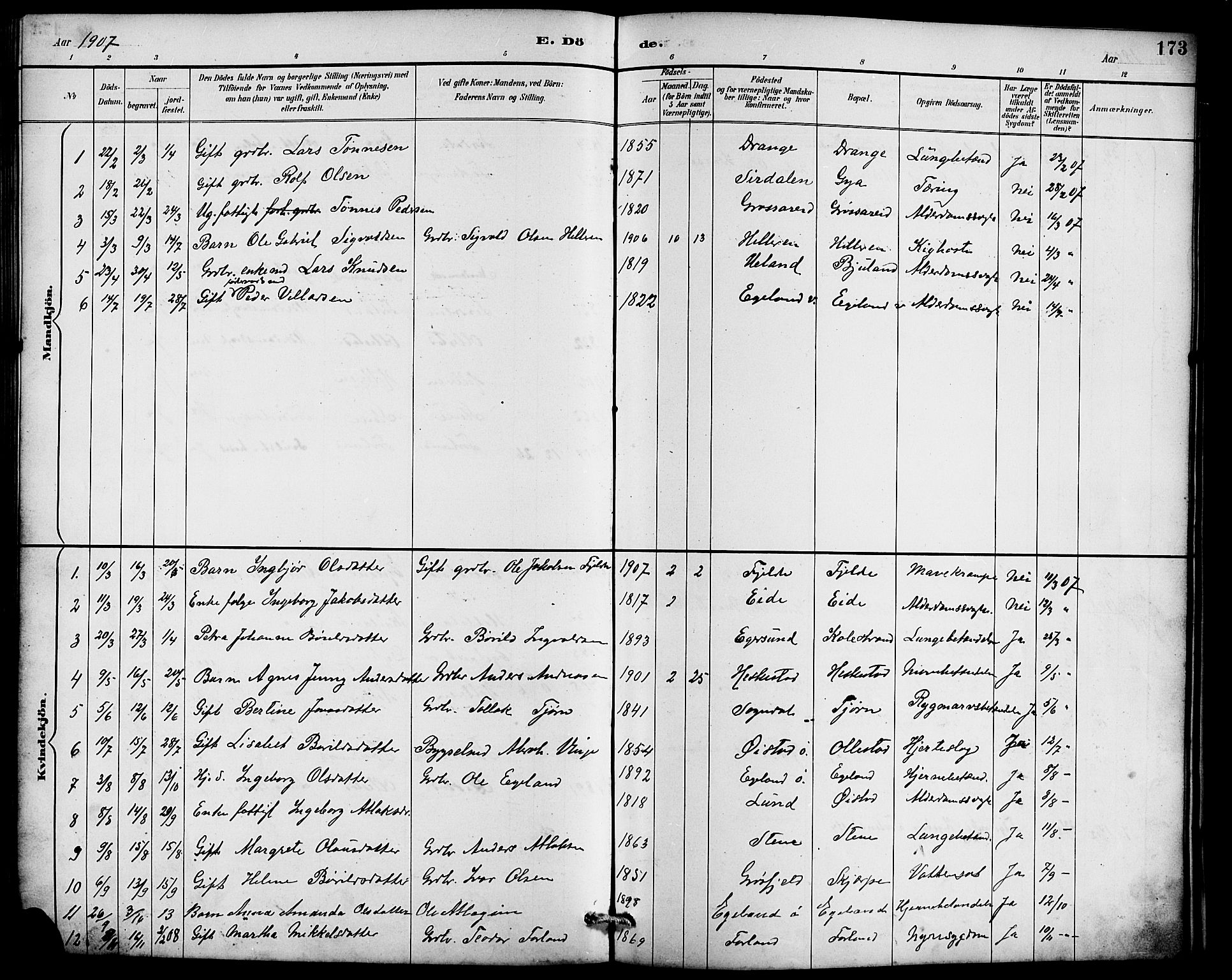 Lund sokneprestkontor, AV/SAST-A-101809/S07/L0007: Parish register (copy) no. B 7, 1890-1925, p. 173
