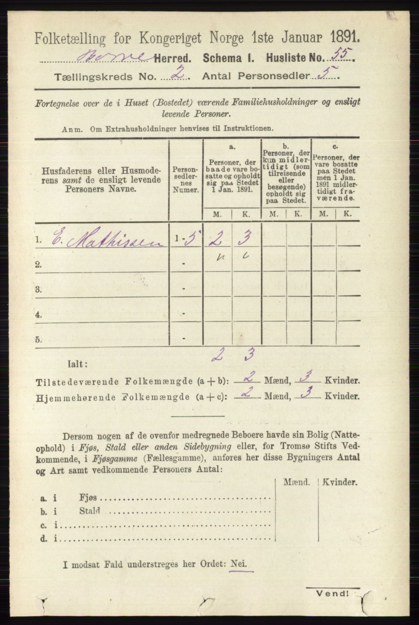 RA, 1891 census for 0717 Borre, 1891, p. 799