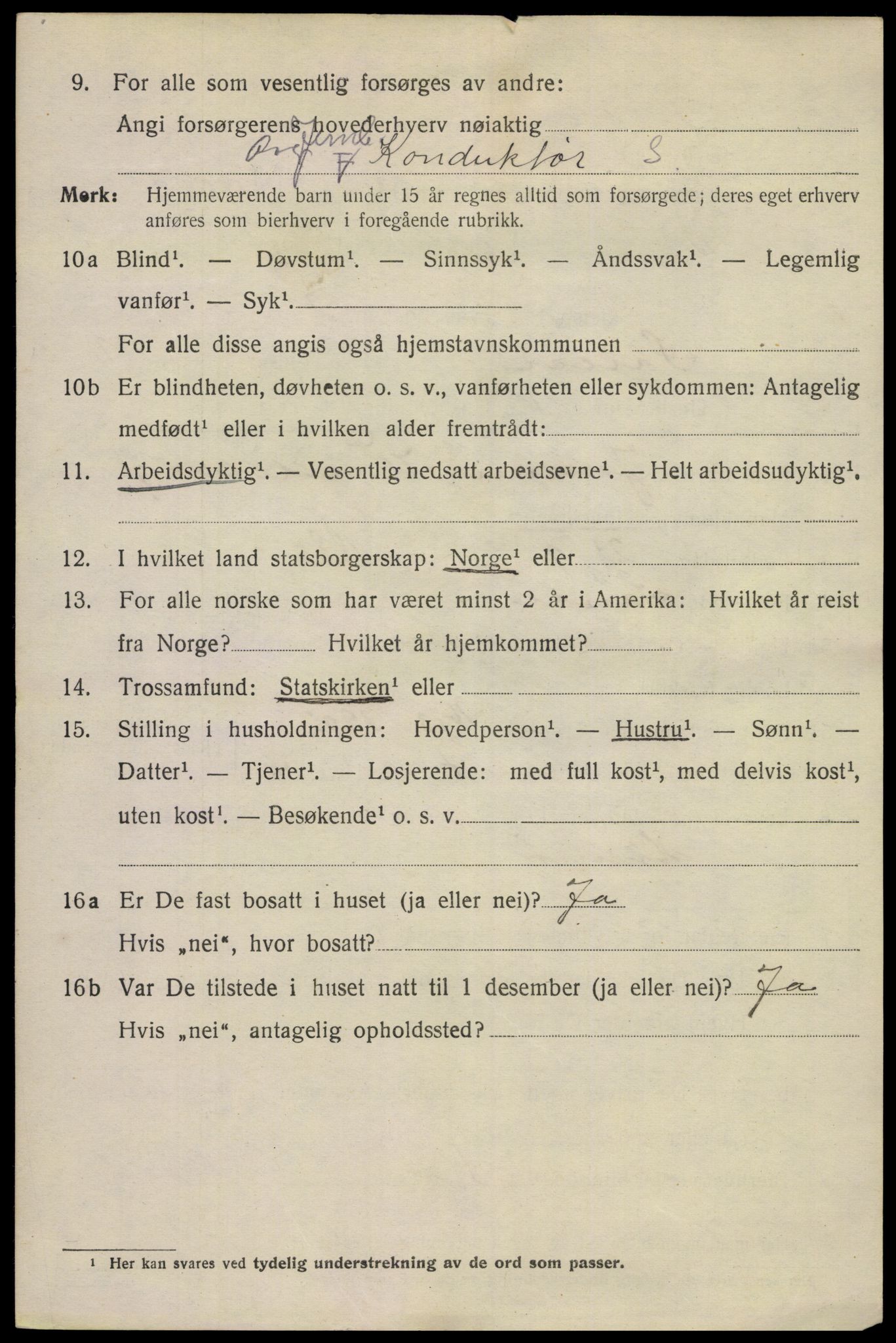 SAKO, 1920 census for Skien, 1920, p. 37303