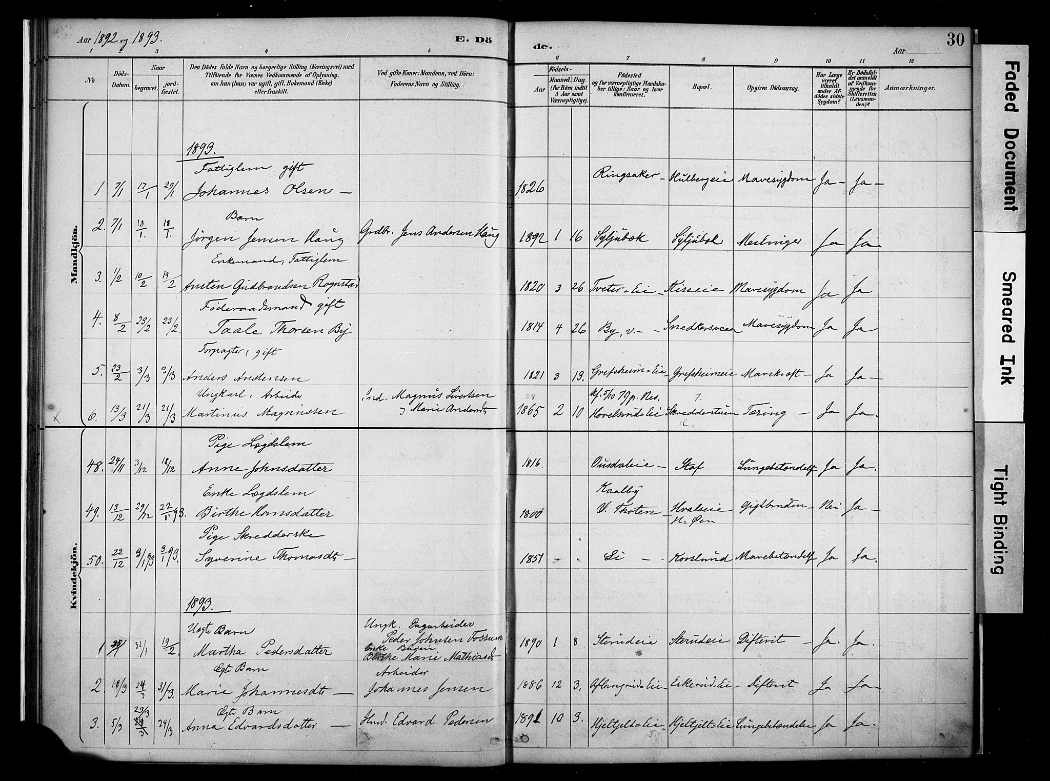 Nes prestekontor, Hedmark, AV/SAH-PREST-020/K/Ka/L0011: Parish register (official) no. 11, 1887-1905, p. 30