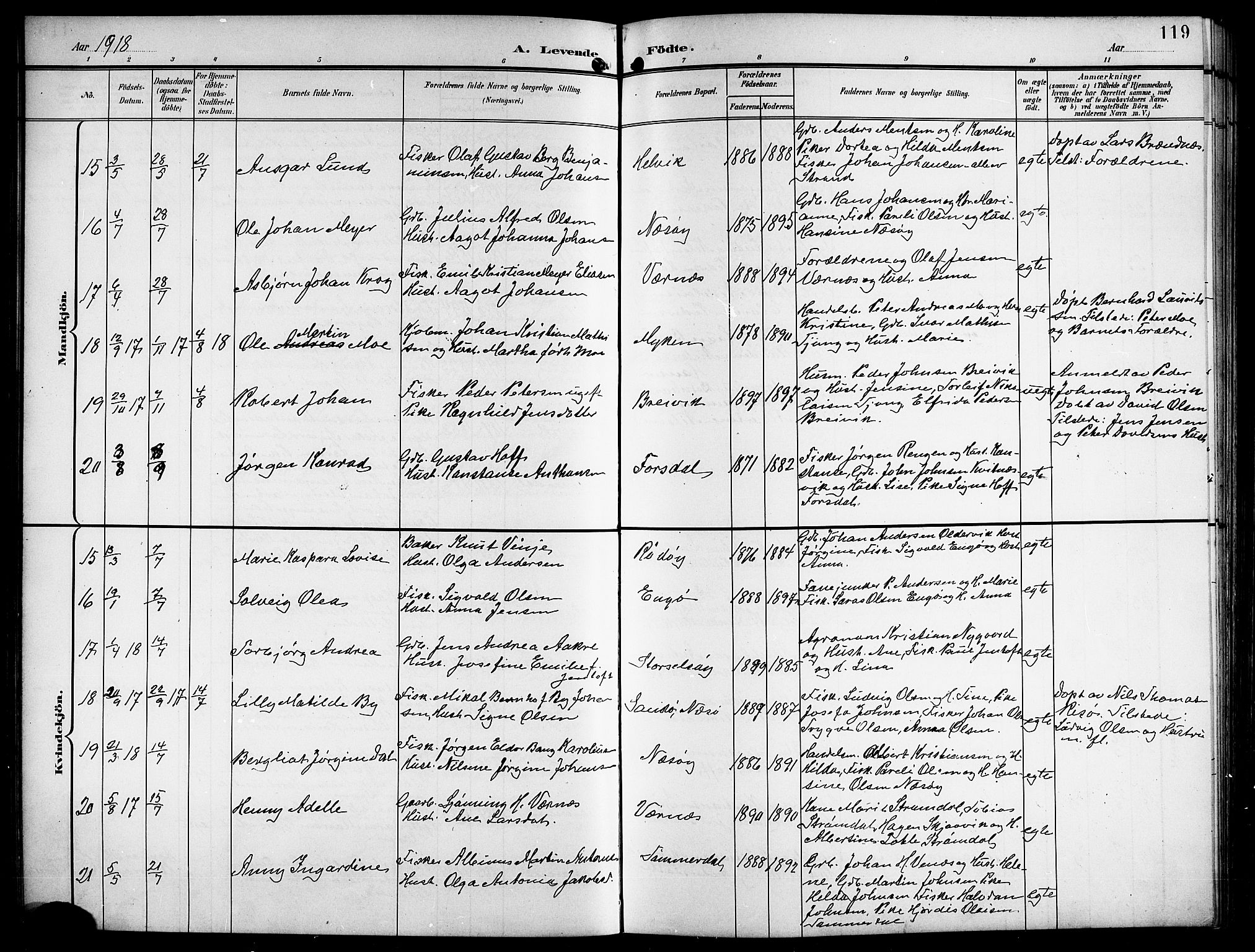 Ministerialprotokoller, klokkerbøker og fødselsregistre - Nordland, AV/SAT-A-1459/841/L0621: Parish register (copy) no. 841C05, 1897-1923, p. 119