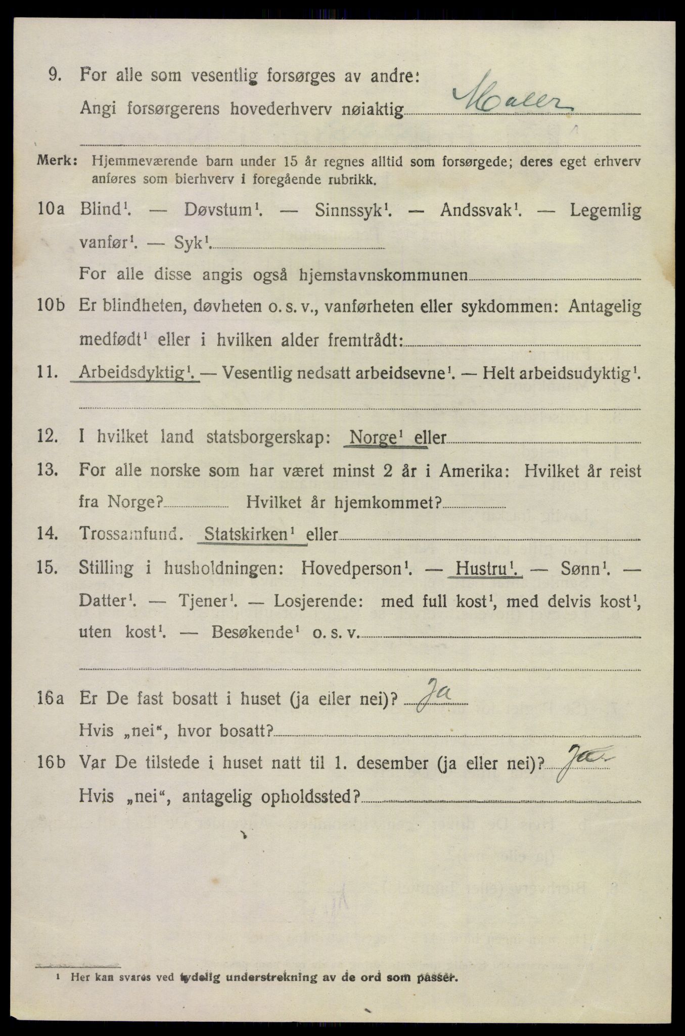 SAKO, 1920 census for Hovin, 1920, p. 1720