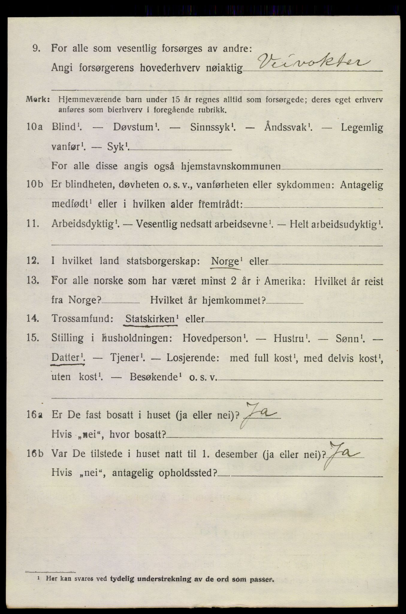 SAKO, 1920 census for Nøtterøy, 1920, p. 15036