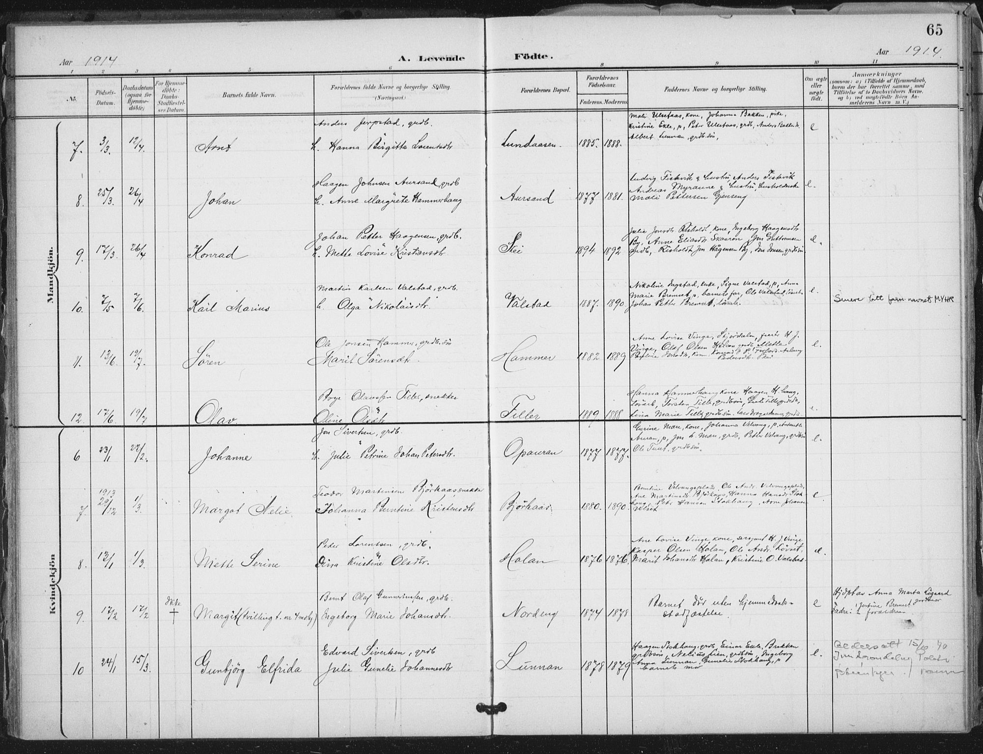 Ministerialprotokoller, klokkerbøker og fødselsregistre - Nord-Trøndelag, SAT/A-1458/712/L0101: Parish register (official) no. 712A02, 1901-1916, p. 65