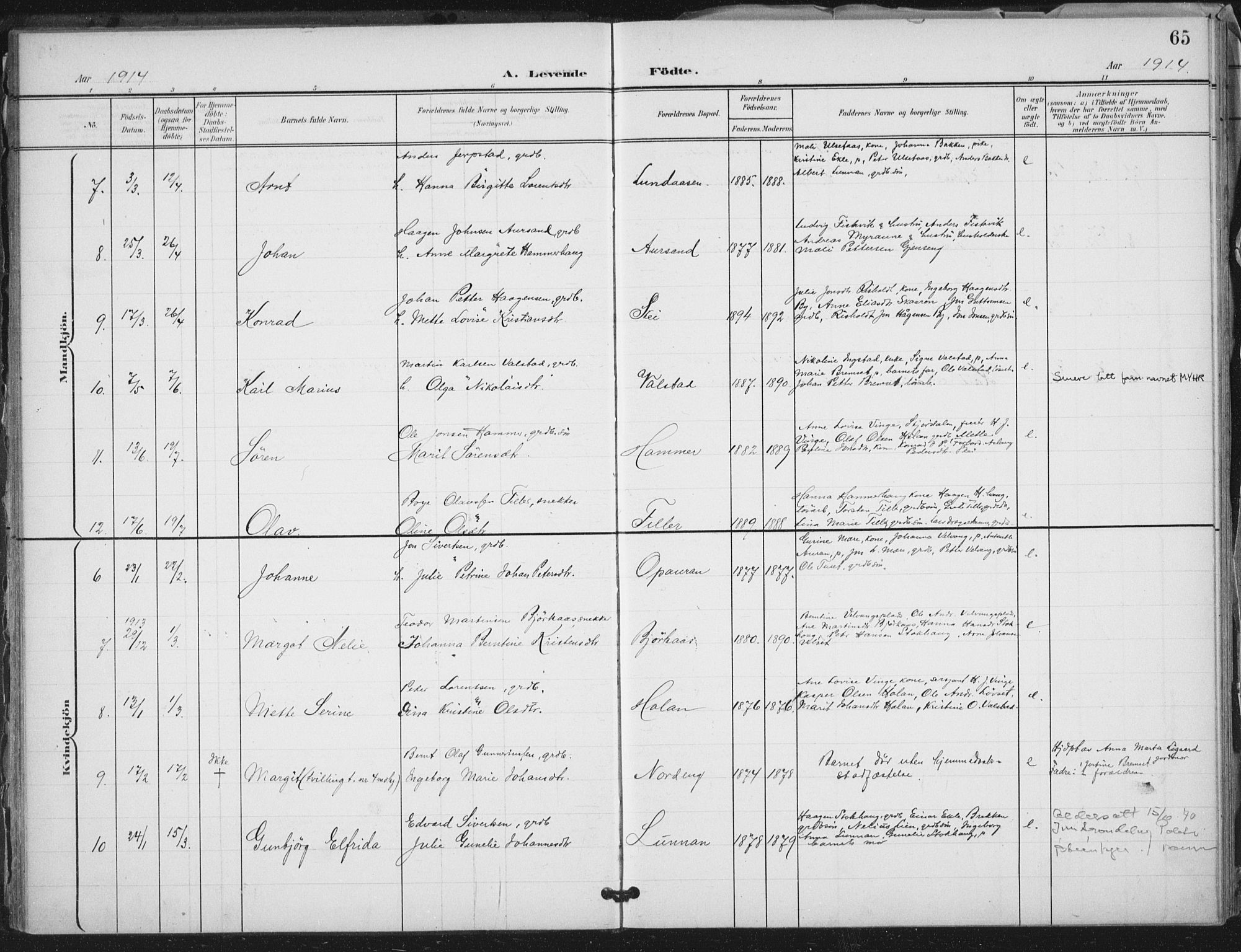 Ministerialprotokoller, klokkerbøker og fødselsregistre - Nord-Trøndelag, AV/SAT-A-1458/712/L0101: Parish register (official) no. 712A02, 1901-1916, p. 65