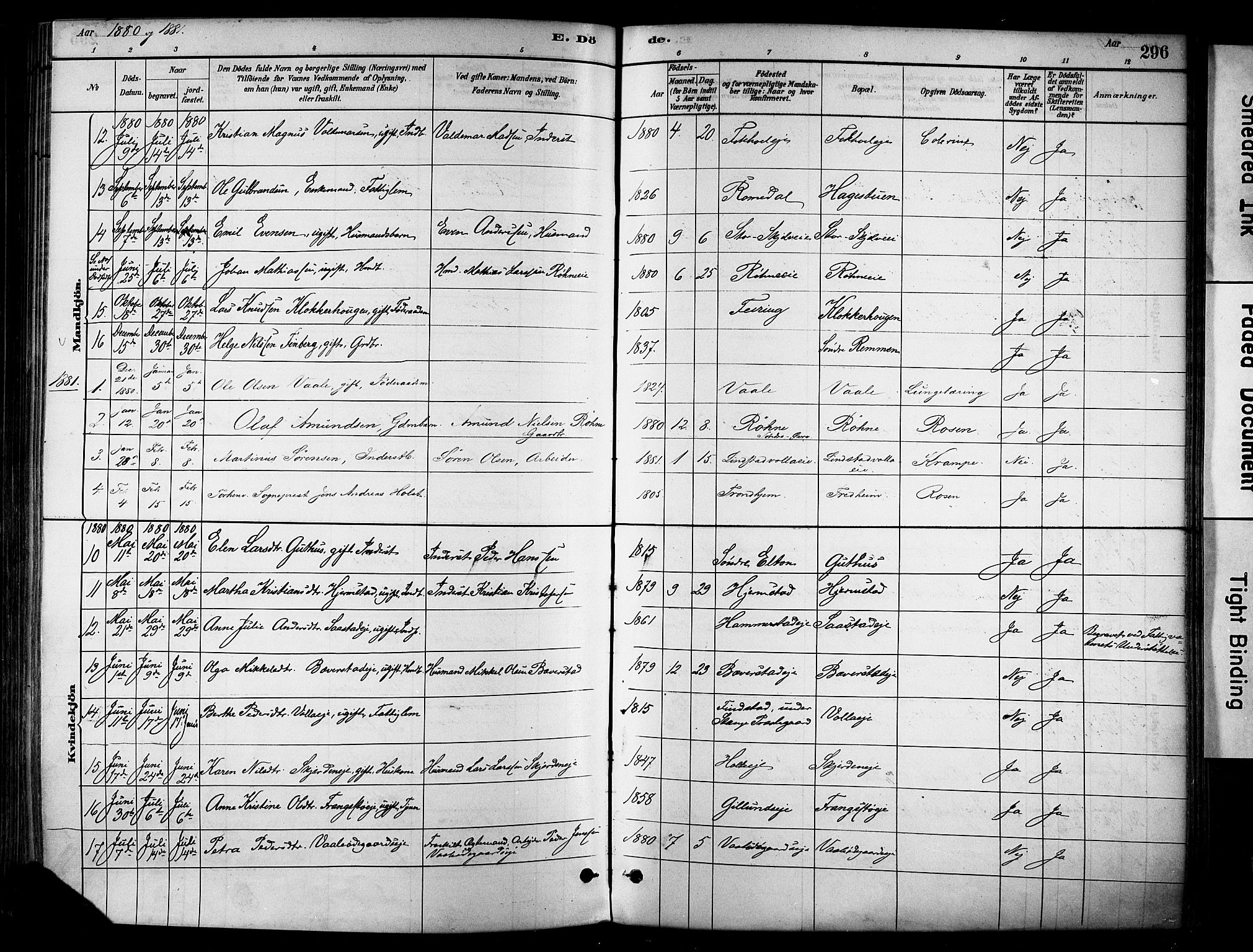 Stange prestekontor, SAH/PREST-002/K/L0017: Parish register (official) no. 17, 1880-1893, p. 296