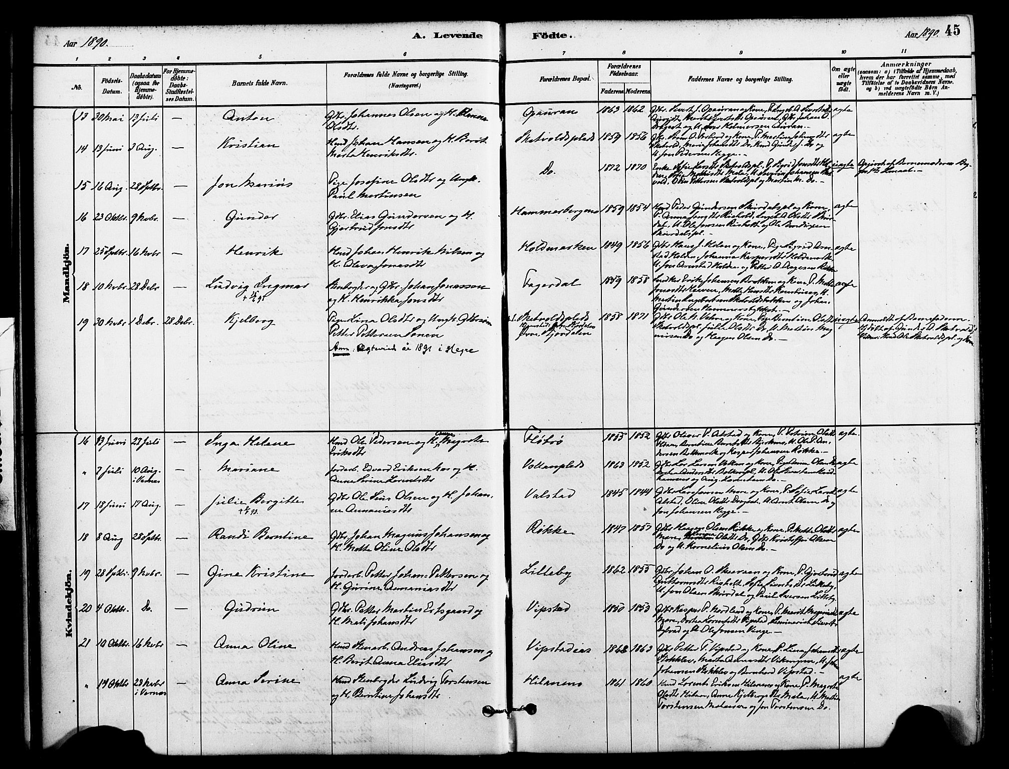 Ministerialprotokoller, klokkerbøker og fødselsregistre - Nord-Trøndelag, AV/SAT-A-1458/712/L0100: Parish register (official) no. 712A01, 1880-1900, p. 45