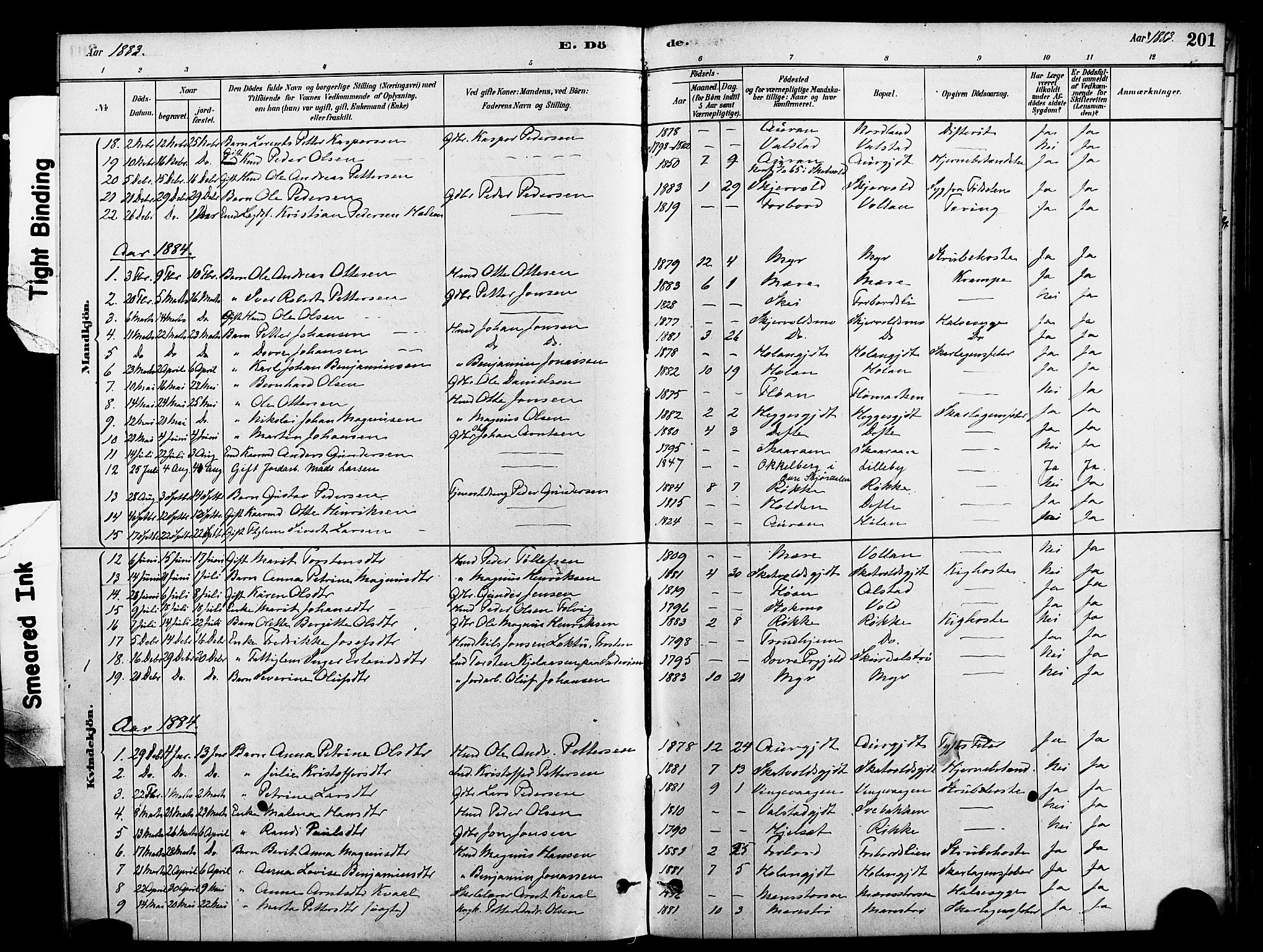 Ministerialprotokoller, klokkerbøker og fødselsregistre - Nord-Trøndelag, SAT/A-1458/712/L0100: Parish register (official) no. 712A01, 1880-1900, p. 201