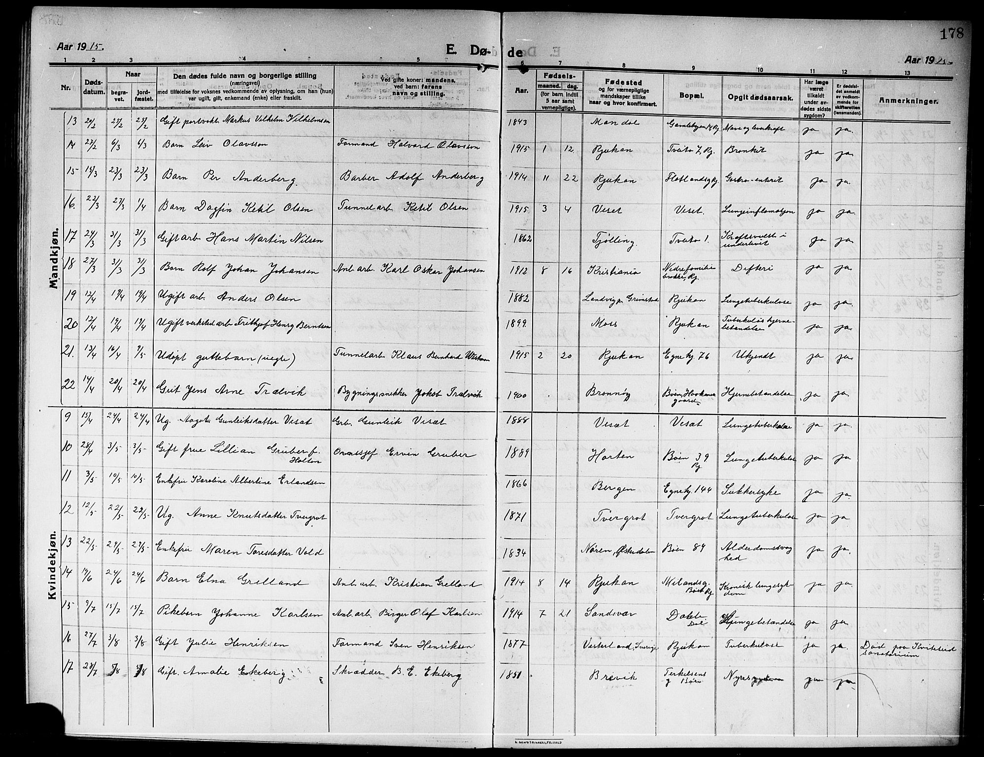 Rjukan kirkebøker, SAKO/A-294/G/Ga/L0002: Parish register (copy) no. 2, 1913-1920, p. 178