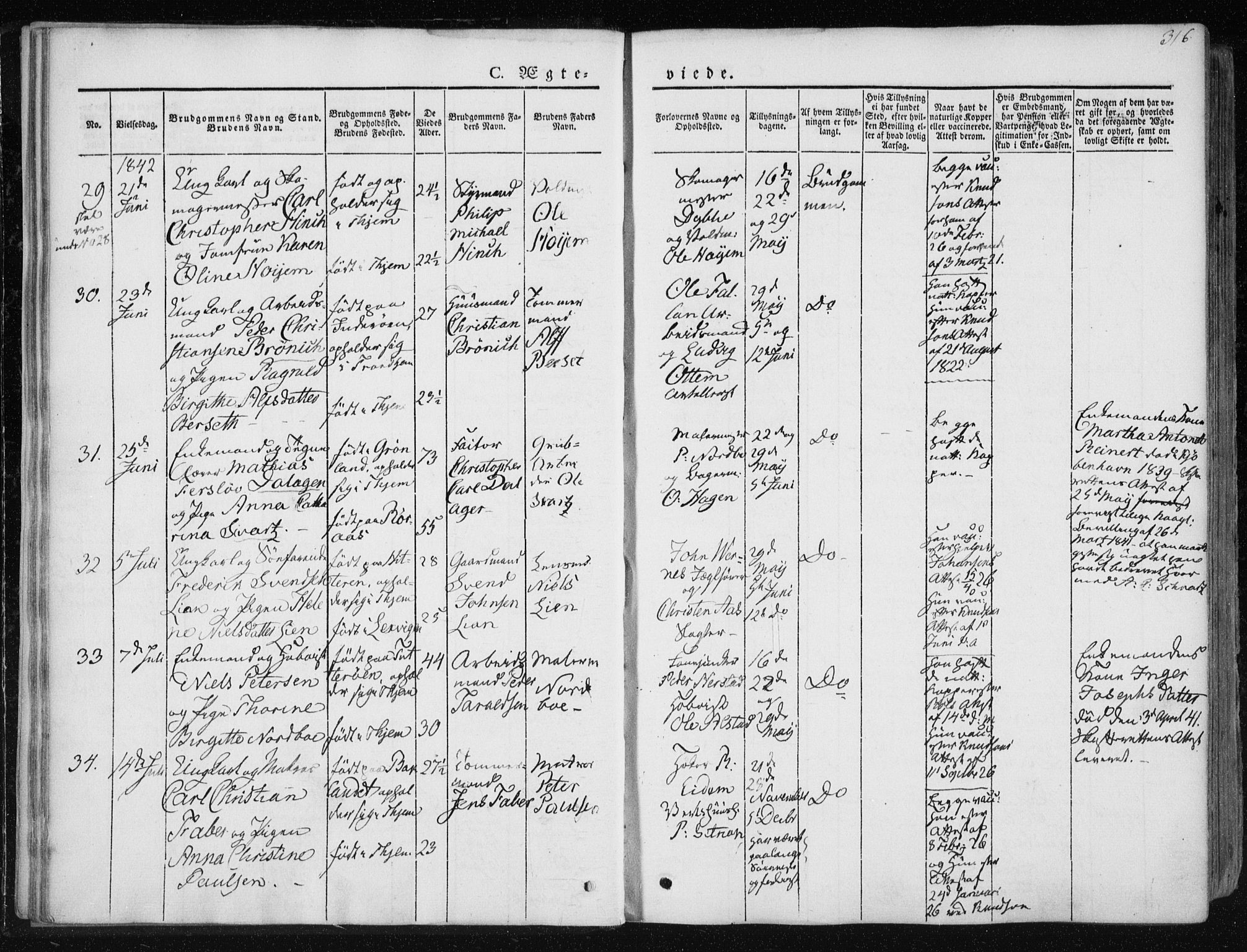 Ministerialprotokoller, klokkerbøker og fødselsregistre - Sør-Trøndelag, SAT/A-1456/601/L0049: Parish register (official) no. 601A17, 1839-1847, p. 316