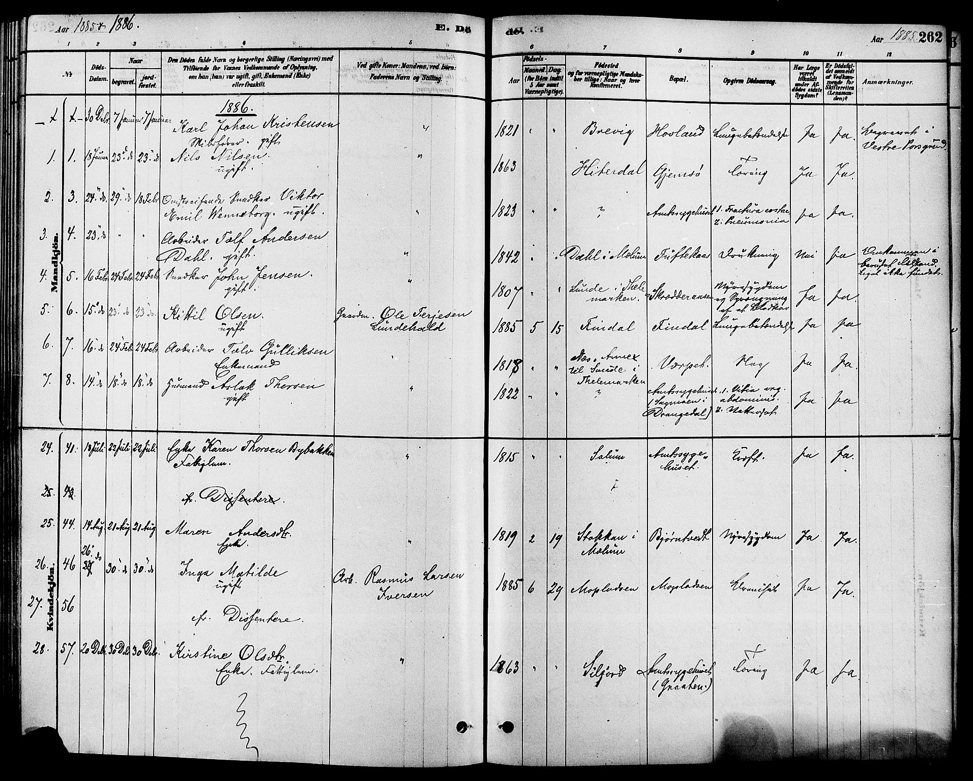 Solum kirkebøker, SAKO/A-306/F/Fa/L0009: Parish register (official) no. I 9, 1877-1887, p. 262