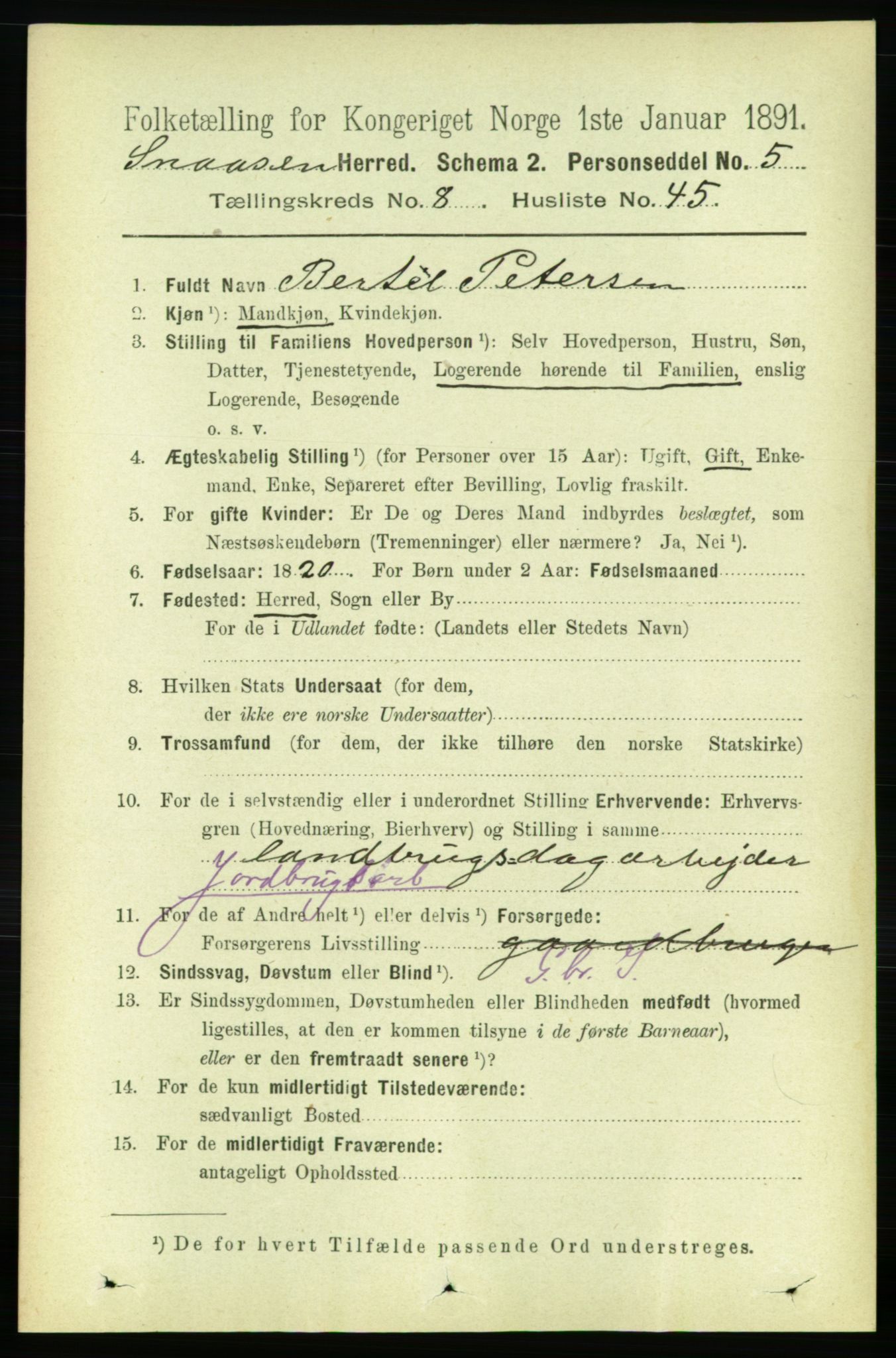 RA, 1891 census for 1736 Snåsa, 1891, p. 2969