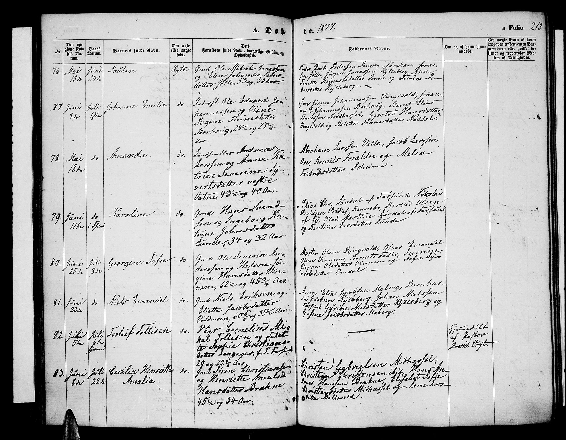 Lista sokneprestkontor, AV/SAK-1111-0027/F/Fb/L0003: Parish register (copy) no. B 3, 1862-1877, p. 213