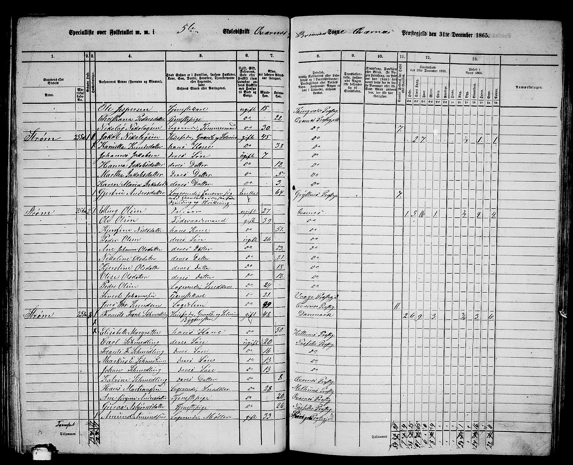 RA, 1865 census for Kvernes, 1865, p. 91