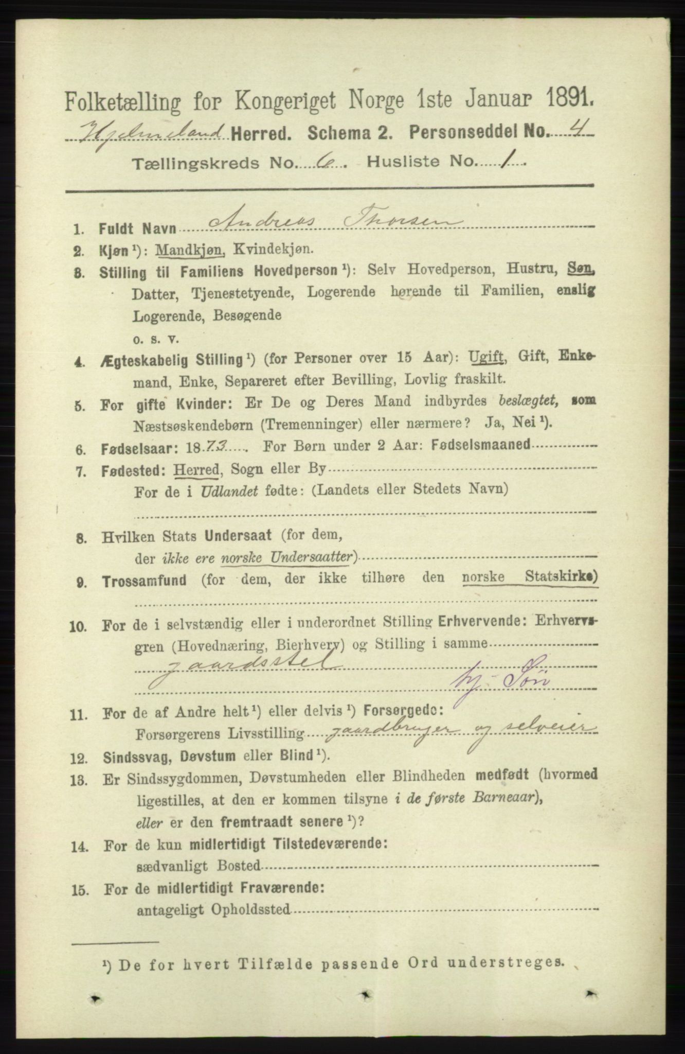 RA, 1891 census for 1133 Hjelmeland, 1891, p. 1559