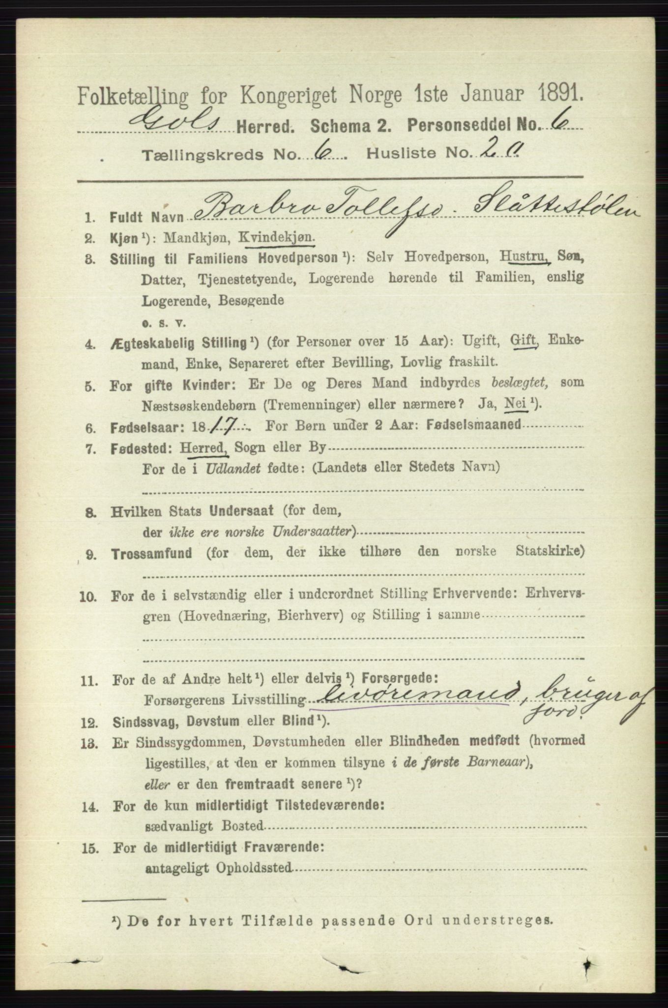 RA, 1891 census for 0617 Gol og Hemsedal, 1891, p. 2518