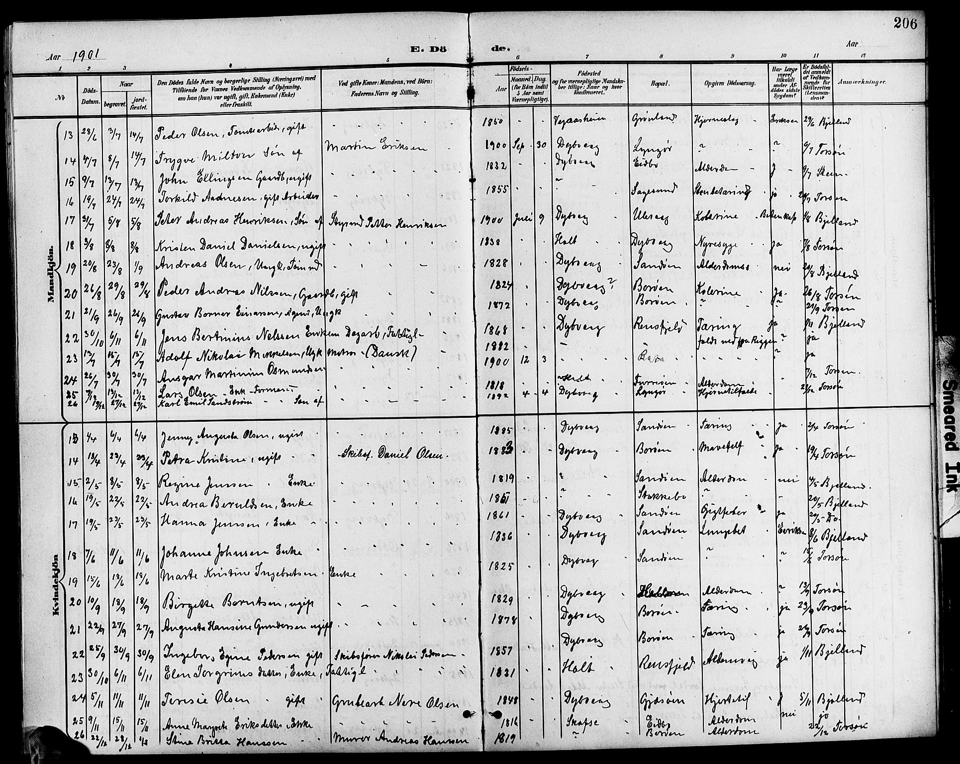 Dypvåg sokneprestkontor, AV/SAK-1111-0007/F/Fb/Fba/L0014: Parish register (copy) no. B 14, 1901-1922, p. 206