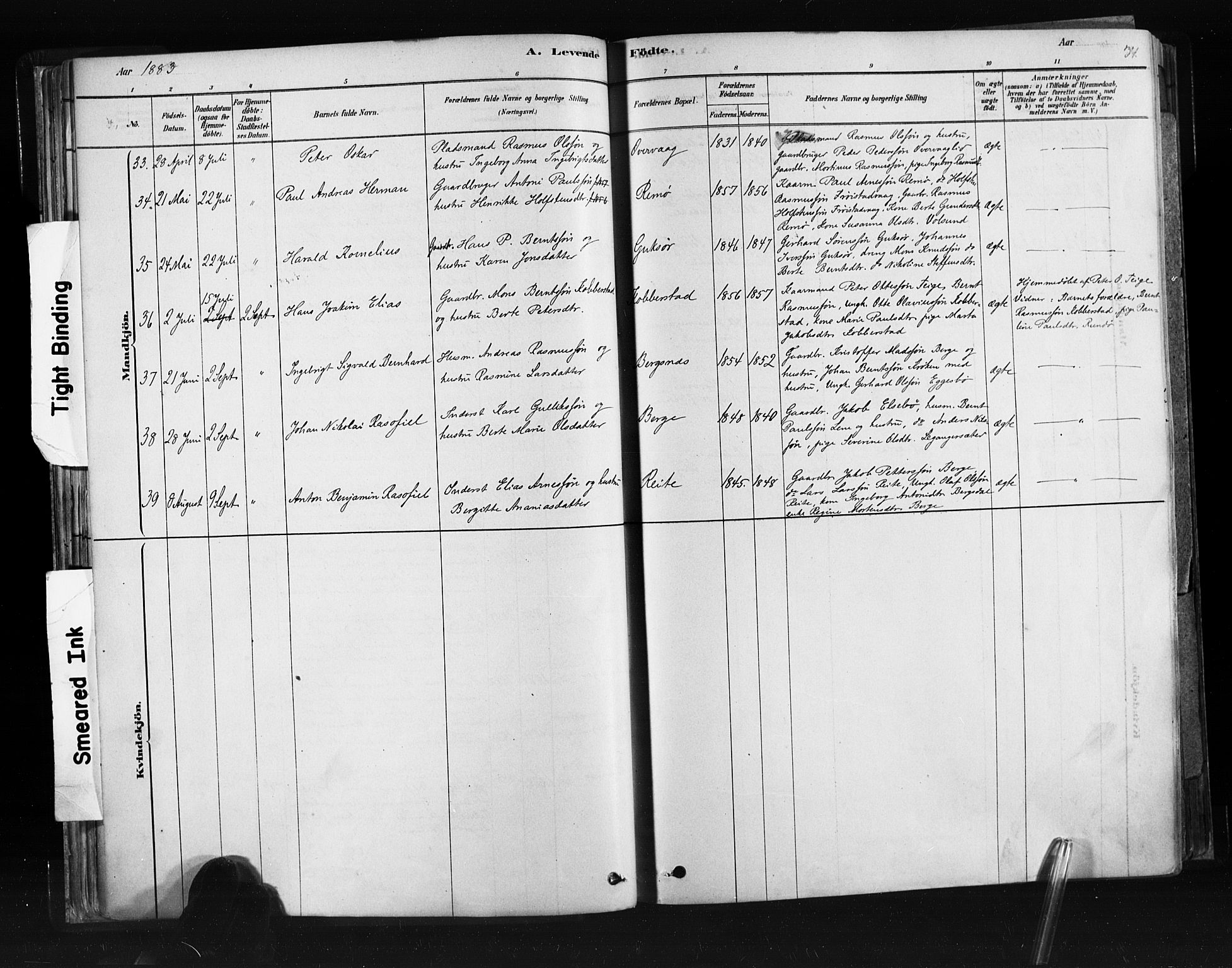 Ministerialprotokoller, klokkerbøker og fødselsregistre - Møre og Romsdal, AV/SAT-A-1454/507/L0073: Parish register (official) no. 507A08, 1878-1904, p. 34
