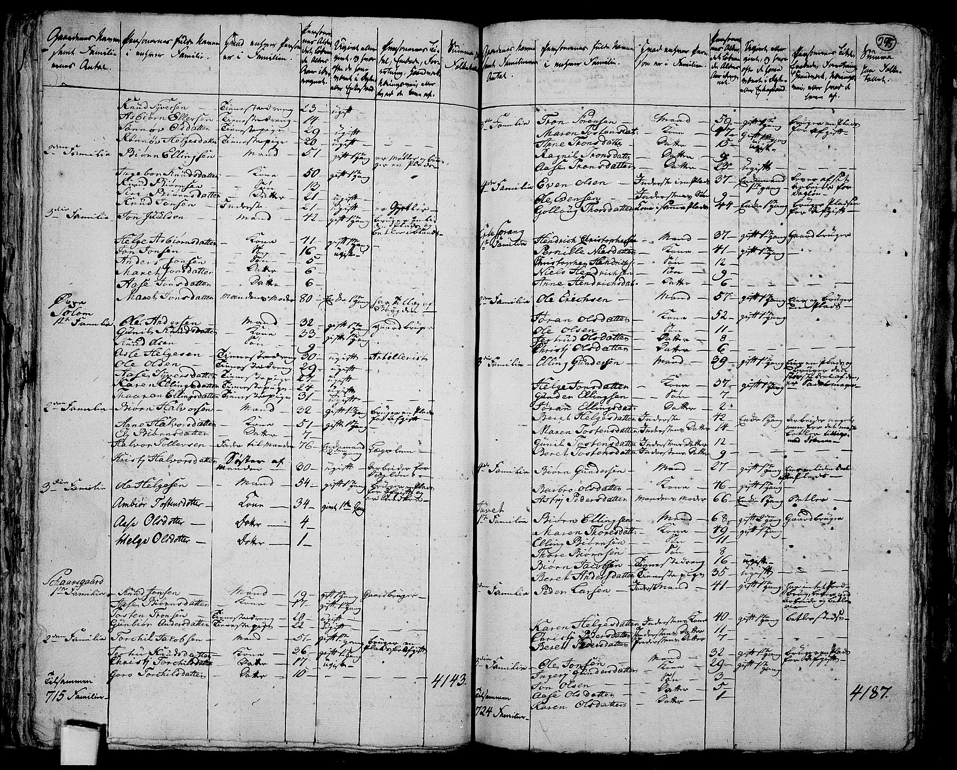 RA, 1801 census for 0621P Sigdal, 1801, p. 294b-295a