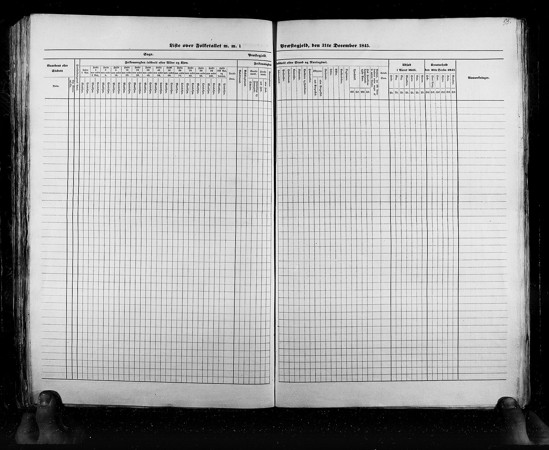 RA, Census 1845, vol. 6: Lister og Mandal amt og Stavanger amt, 1845, p. 95