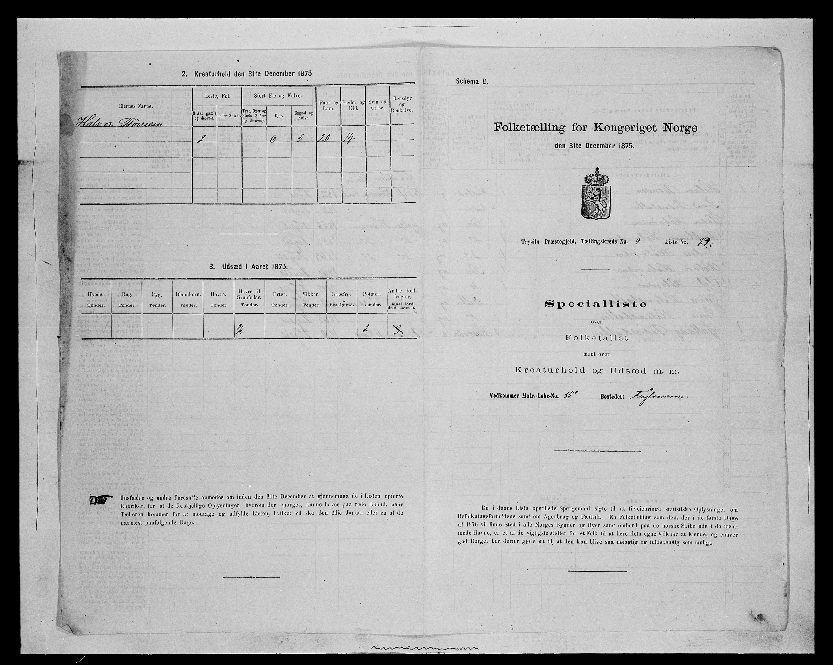 SAH, 1875 census for 0428P Trysil, 1875, p. 1133