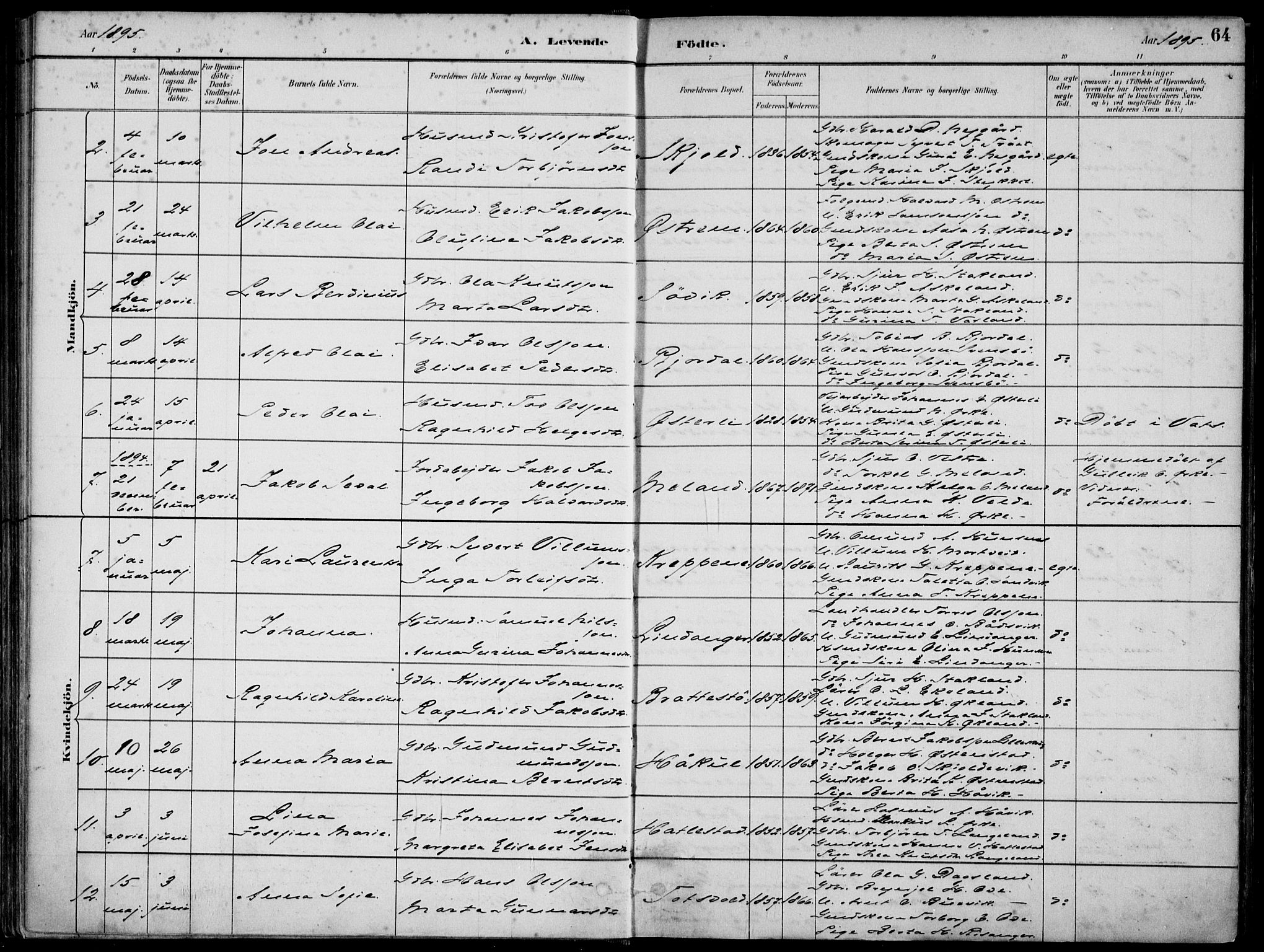 Skjold sokneprestkontor, SAST/A-101847/H/Ha/Haa/L0010: Parish register (official) no. A 10, 1882-1897, p. 64