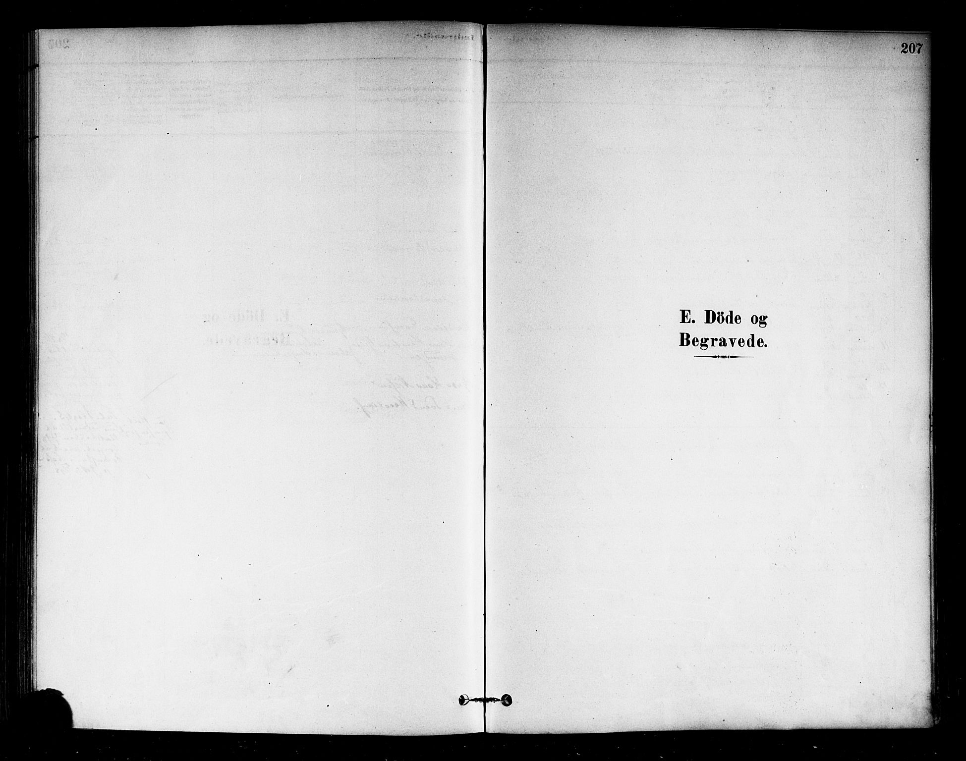 Eidsberg prestekontor Kirkebøker, AV/SAO-A-10905/F/Fa/L0012: Parish register (official) no. I 12, 1879-1901, p. 207