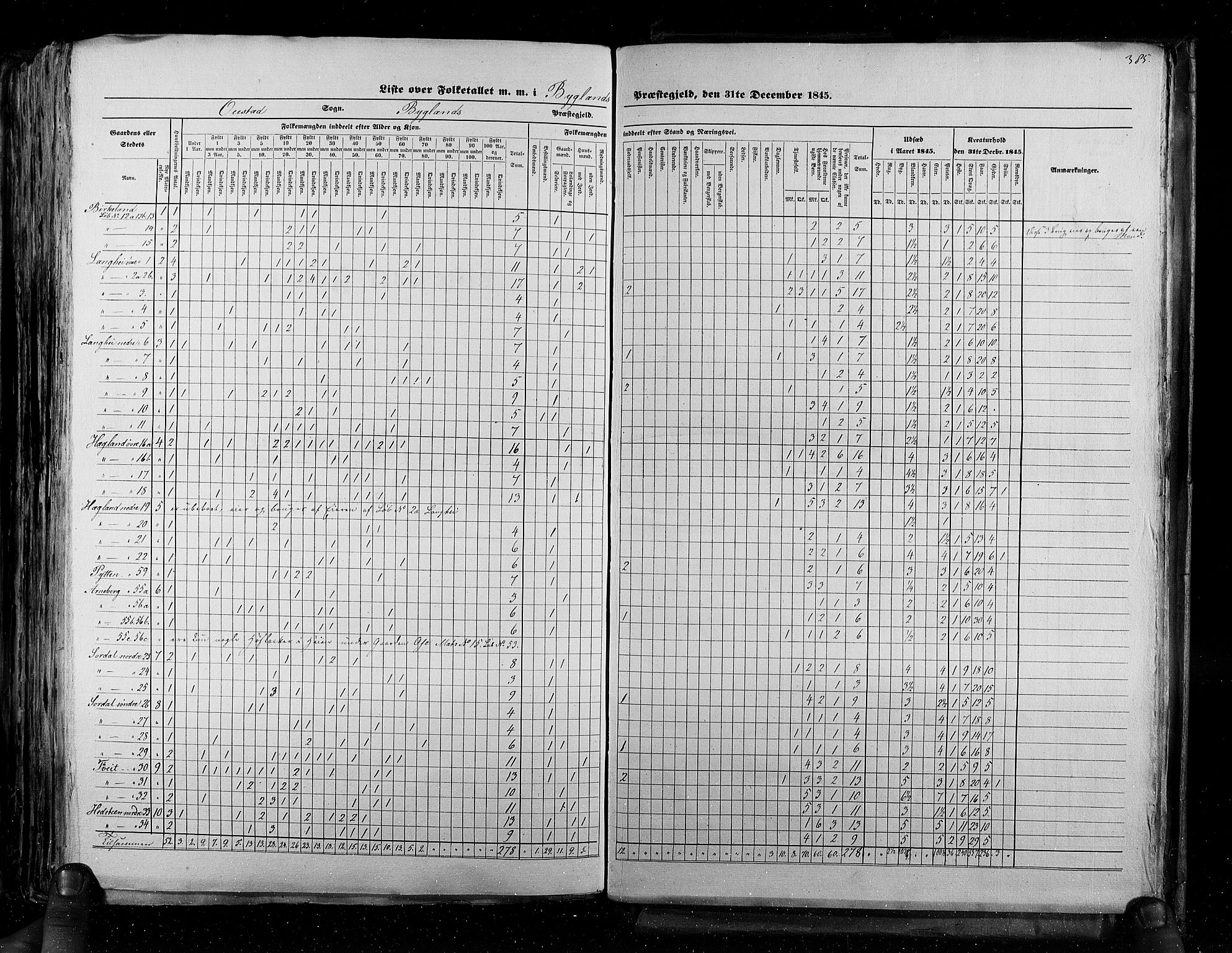 RA, Census 1845, vol. 5: Bratsberg amt og Nedenes og Råbyggelaget amt, 1845, p. 385